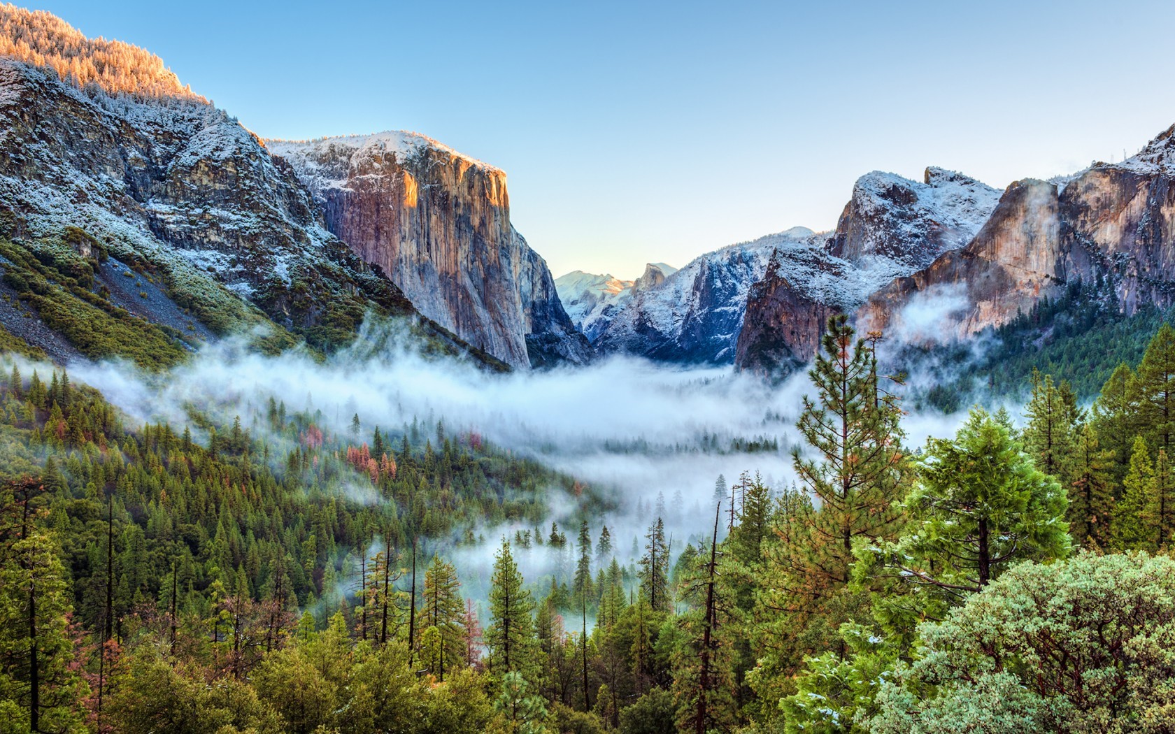 Yosemite National Park Mountains with Fog and Trees HD Wallpaper