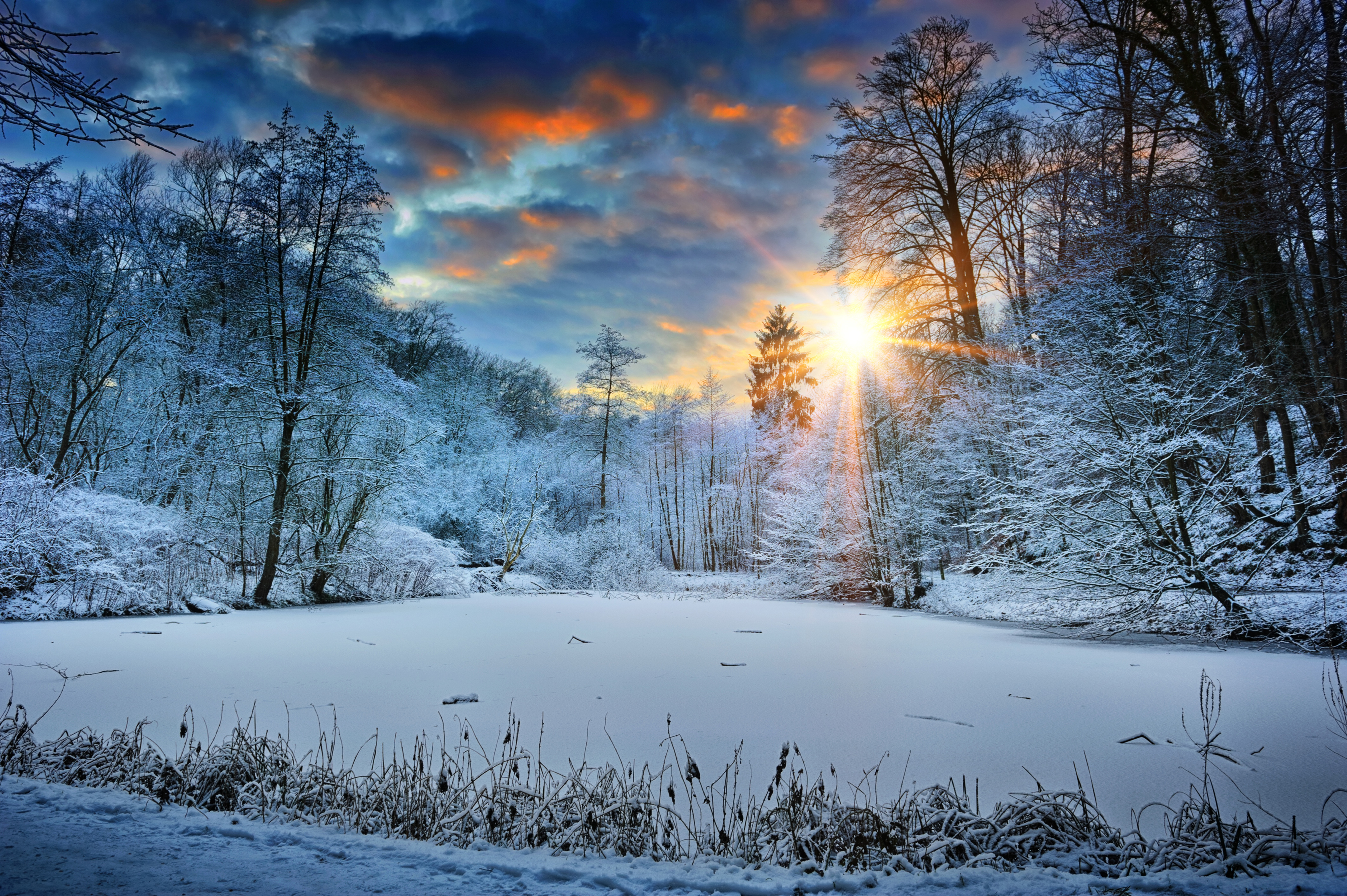 Winter Sunrise Over Snowy Forest Lake 4K HD Wallpaper