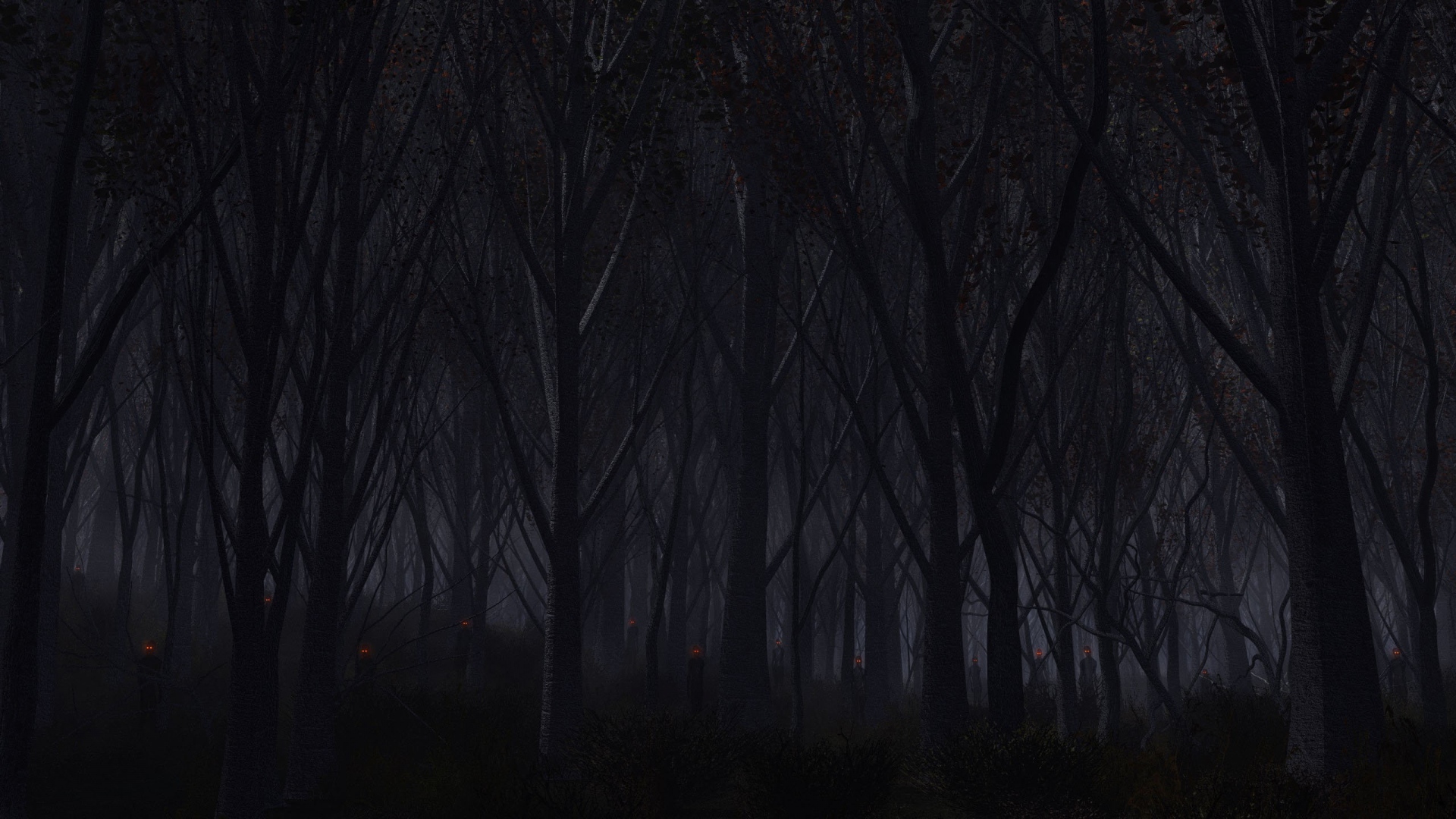 Dark forest with glowing lights HD Wallpaper