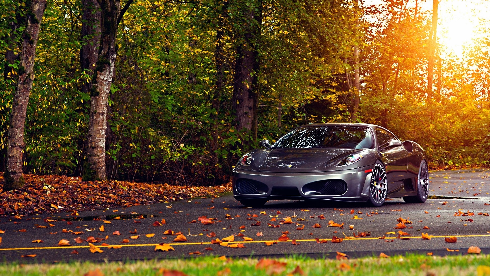 Ferrari 430 in Autumn Forest HD Wallpaper