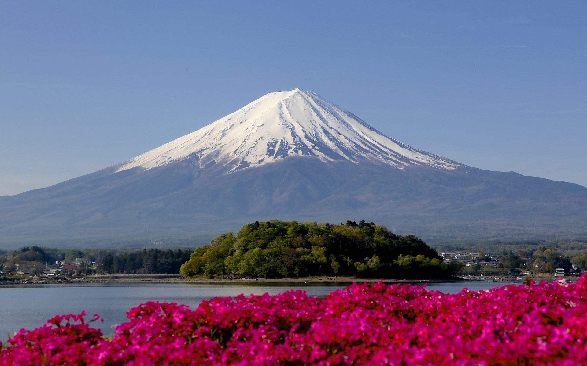 Mount Fuji with pink flowers and lake HD Wallpaper