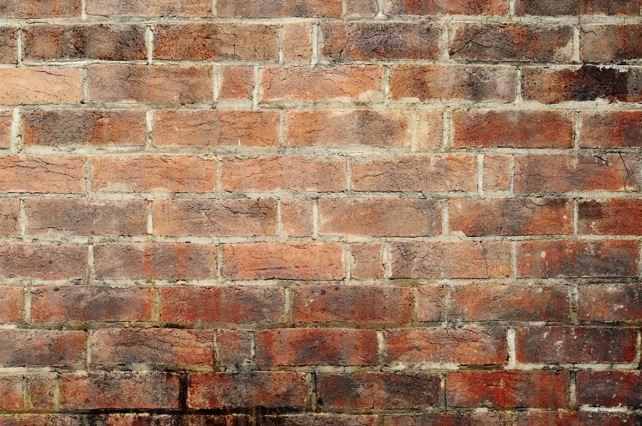 Red brick wall texture HD Wallpaper