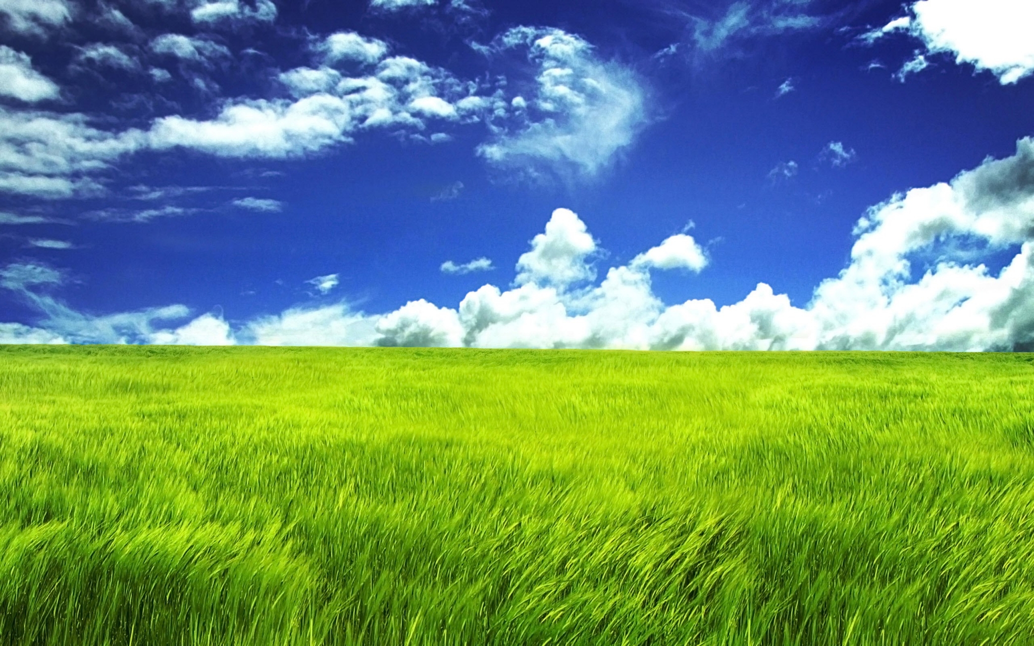 Green field under a blue sky with clouds HD Wallpaper