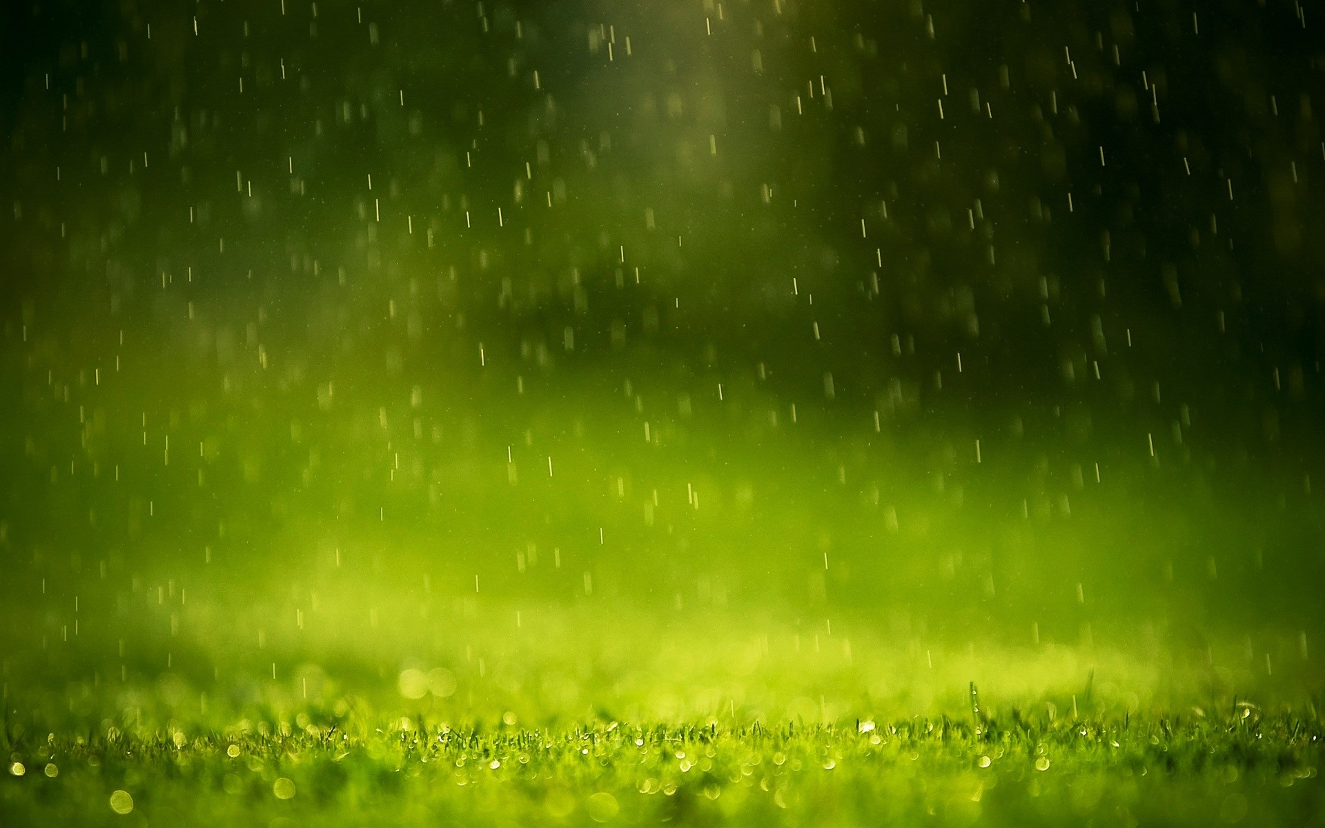 Rain falling on green grass HD Wallpaper
