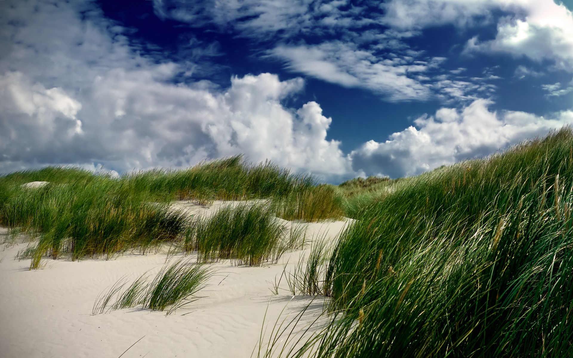 Grassy sand dunes under a cloudy blue sky HD Wallpaper