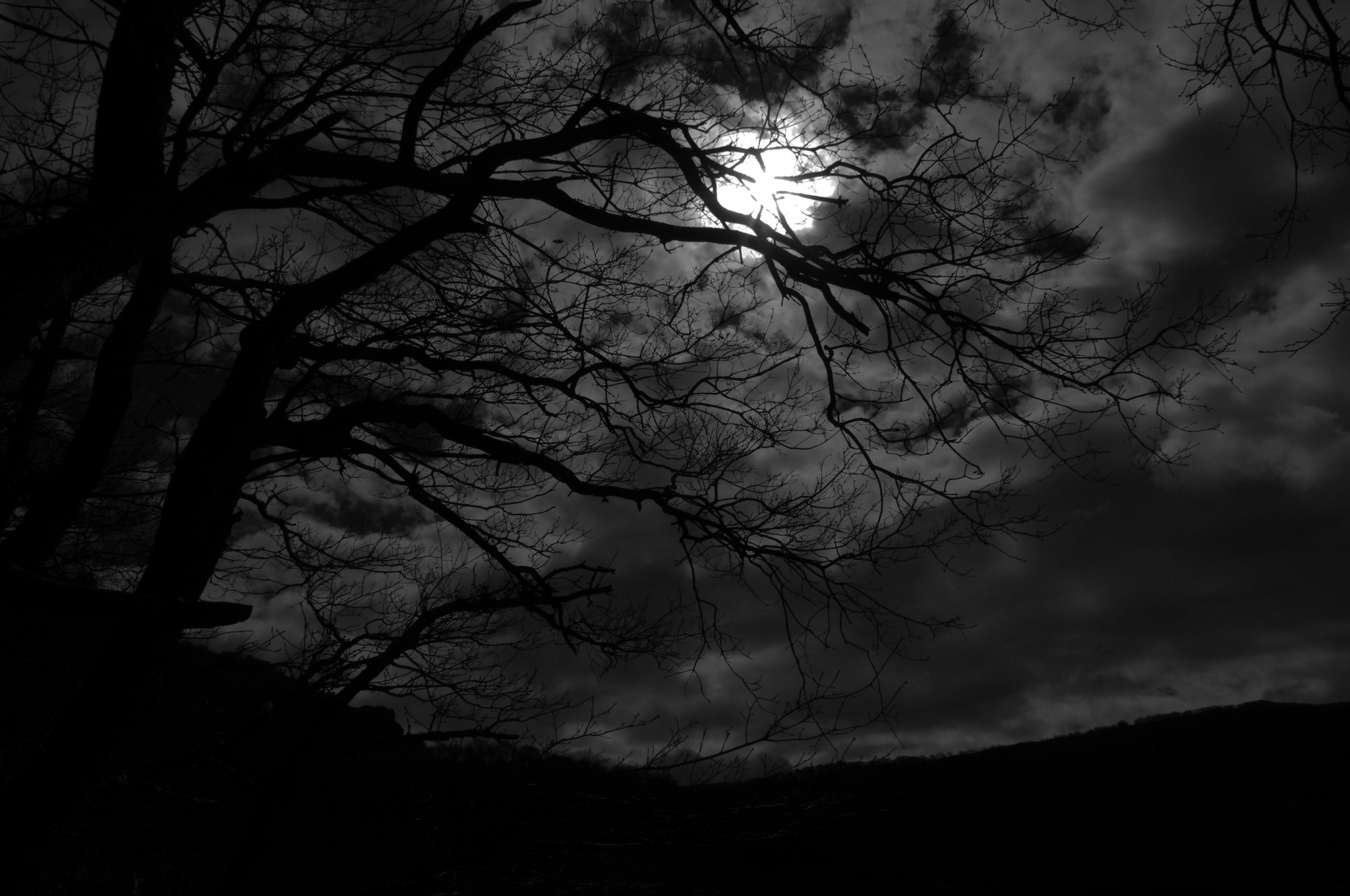 Bare Tree Branches Against Dark Cloudy Sky HD Wallpaper
