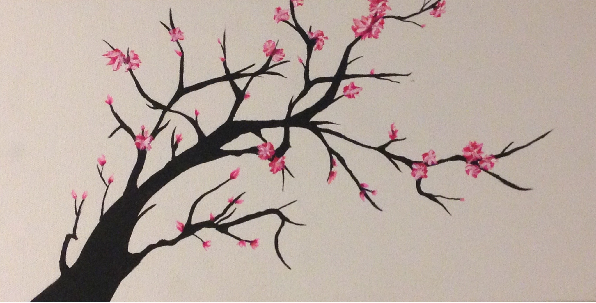 Cherry blossom branches with pink flowers HD Wallpaper