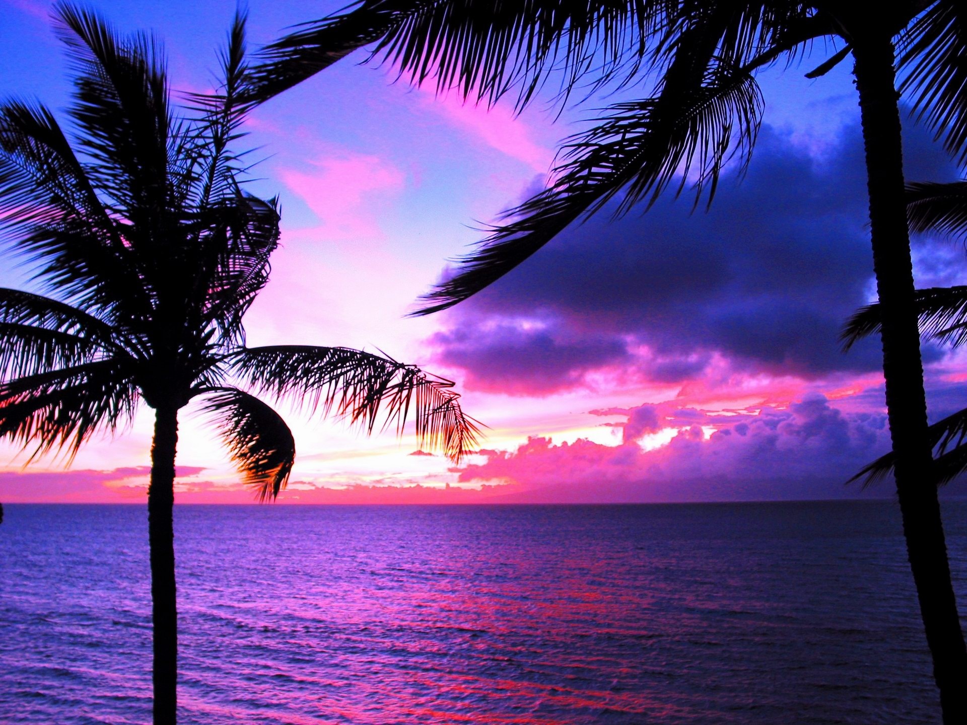 Hawaii Sunset with Palm Trees Over Ocean HD Wallpaper