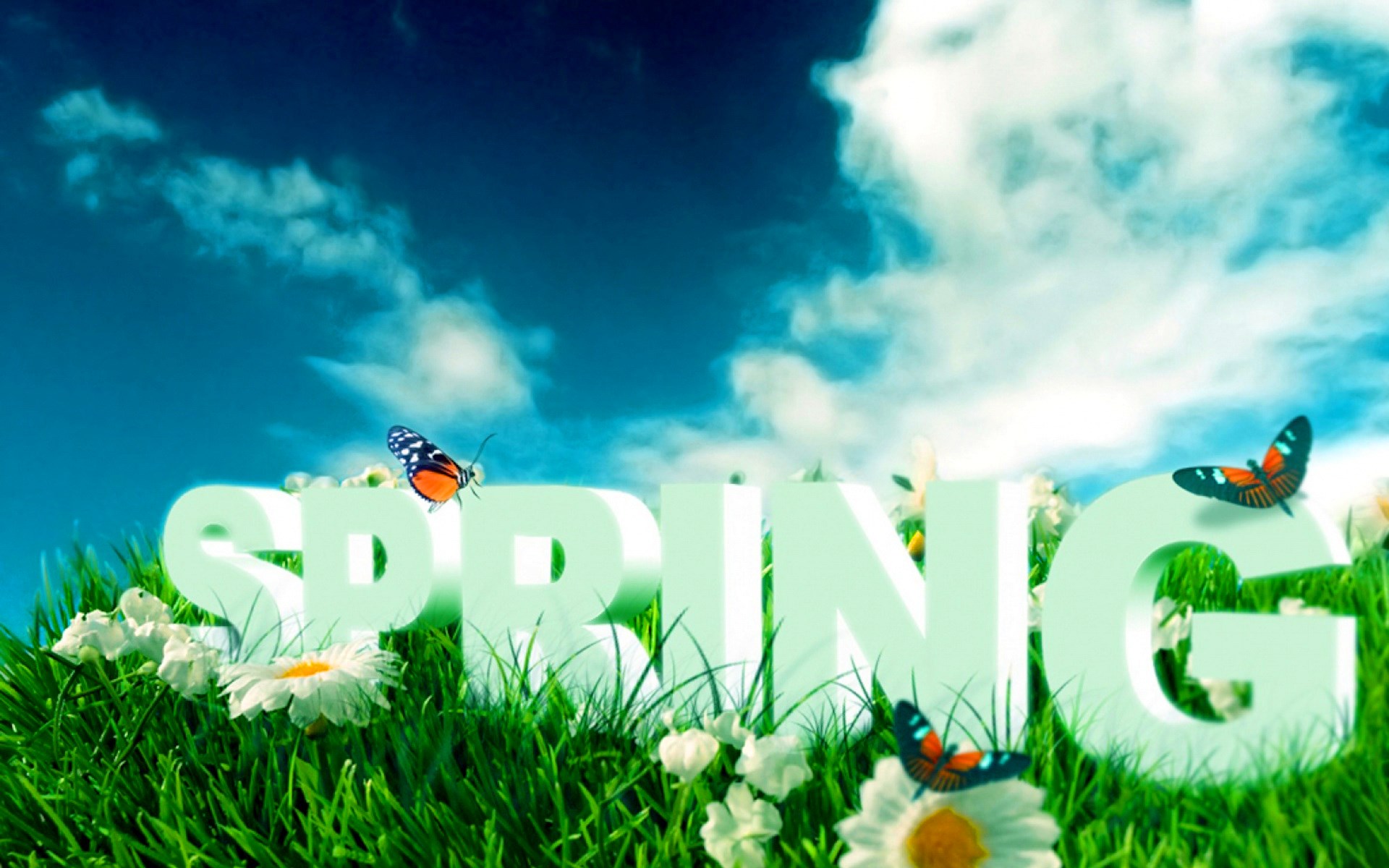 Spring text with butterflies and flowers HD Wallpaper