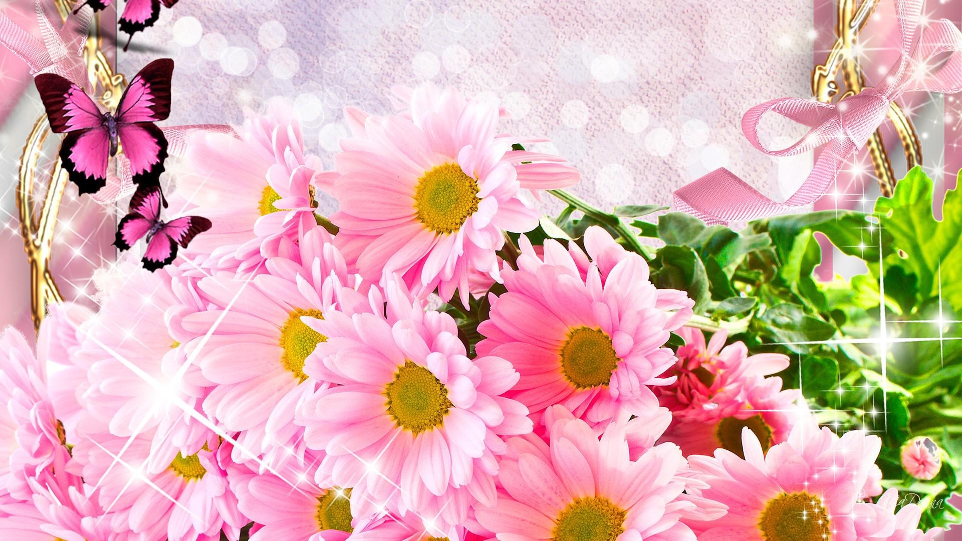 Pink daisies and butterflies with ribbon HD Wallpaper