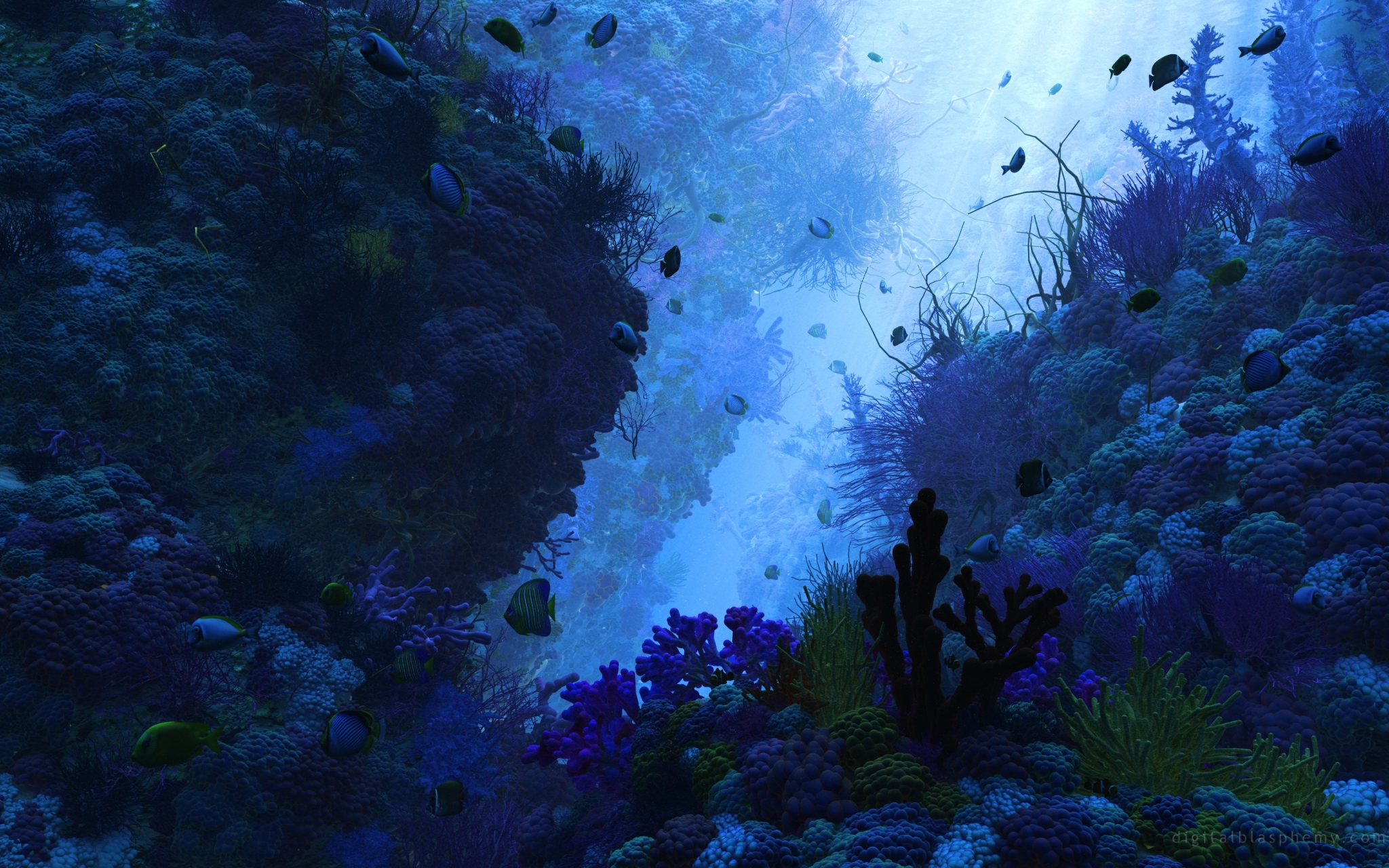 Underwater coral reef with fish HD Wallpaper