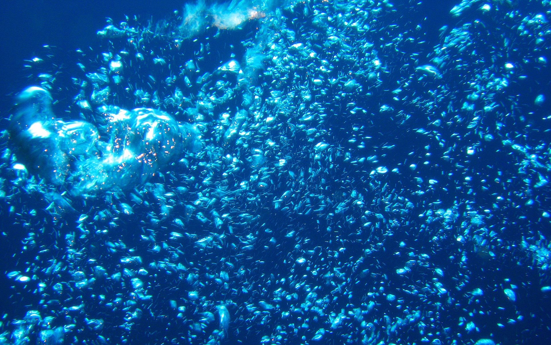 Underwater bubbles rising in blue water HD Wallpaper