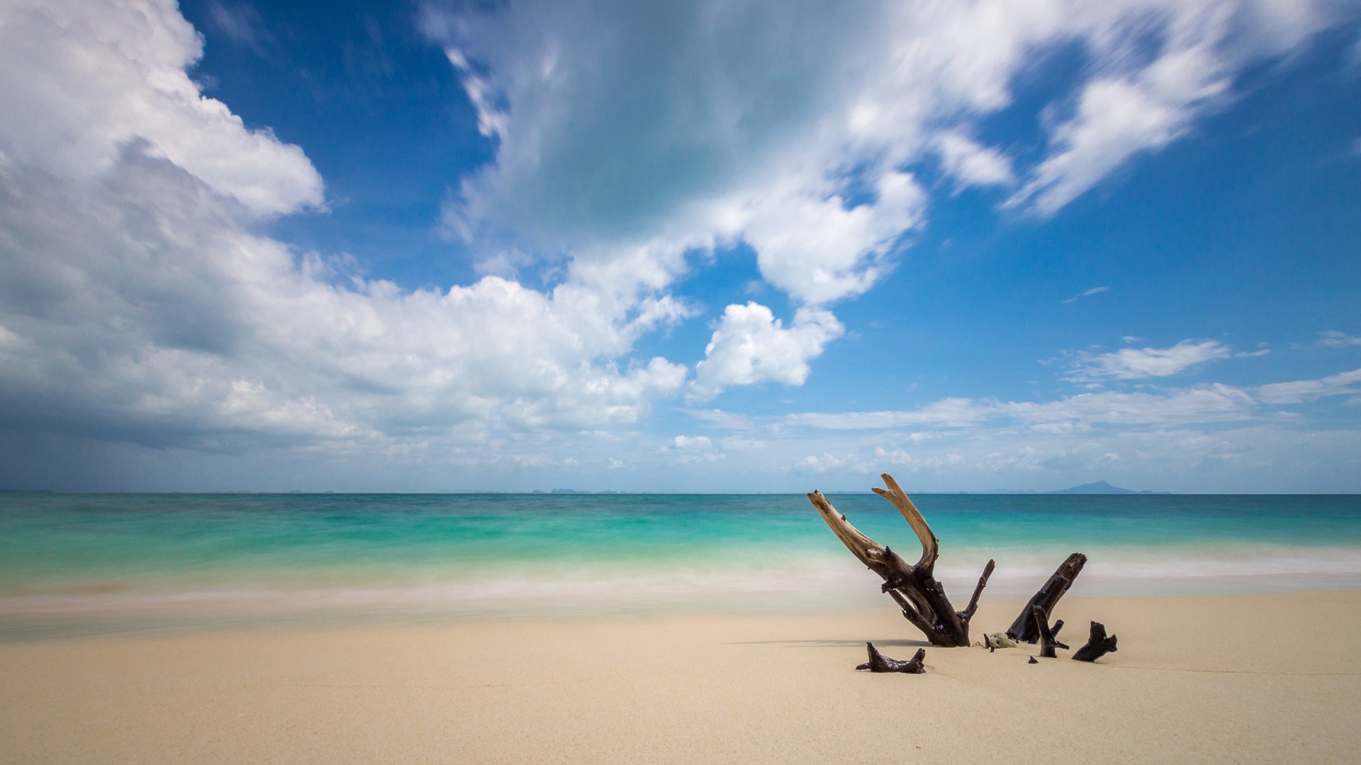 Driftwood on a sandy beach with turquoise ocean and clouds HD Wallpaper
