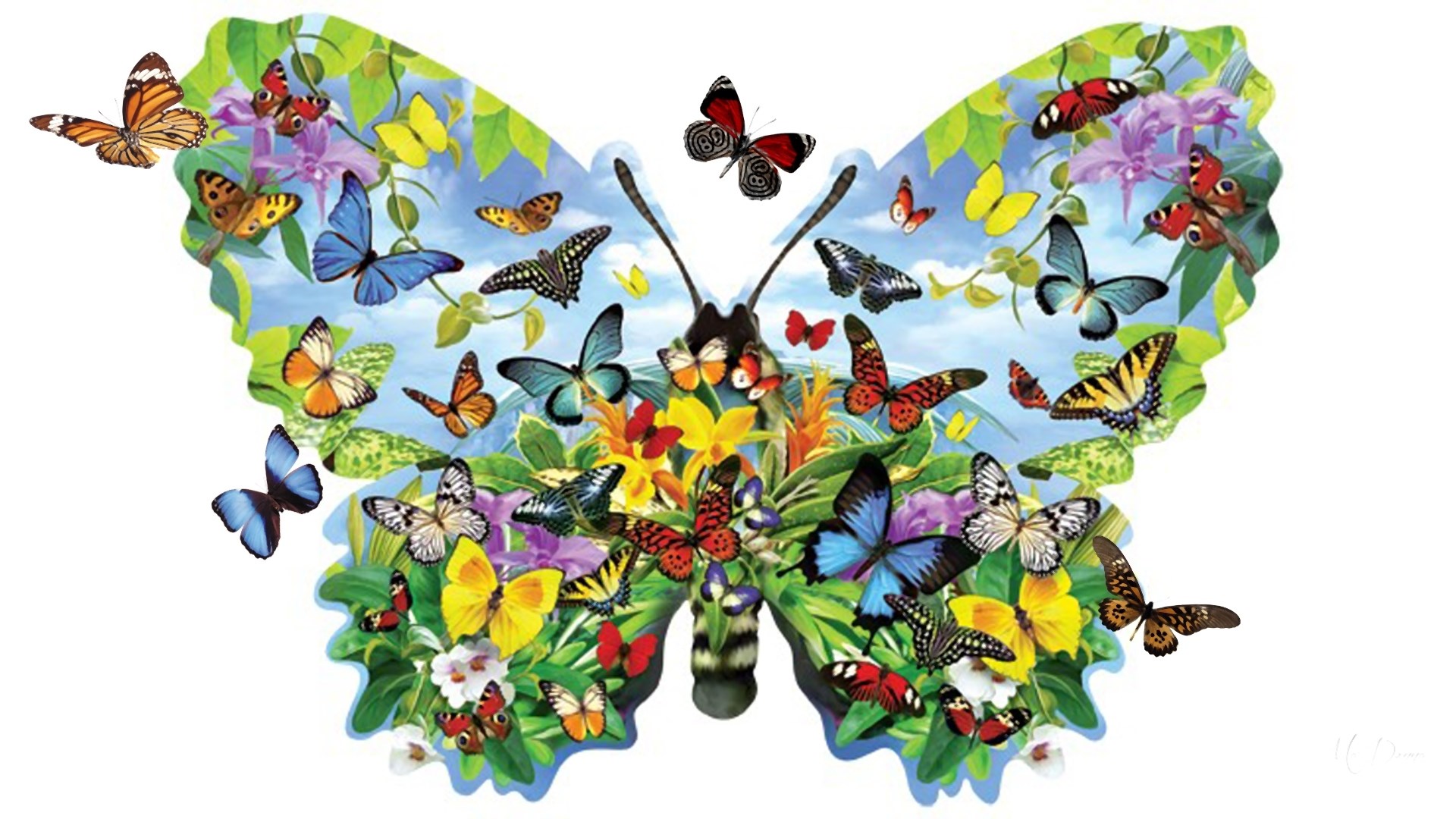 Colorful Butterfly Shape Made of Multiple Butterflies HD Wallpaper
