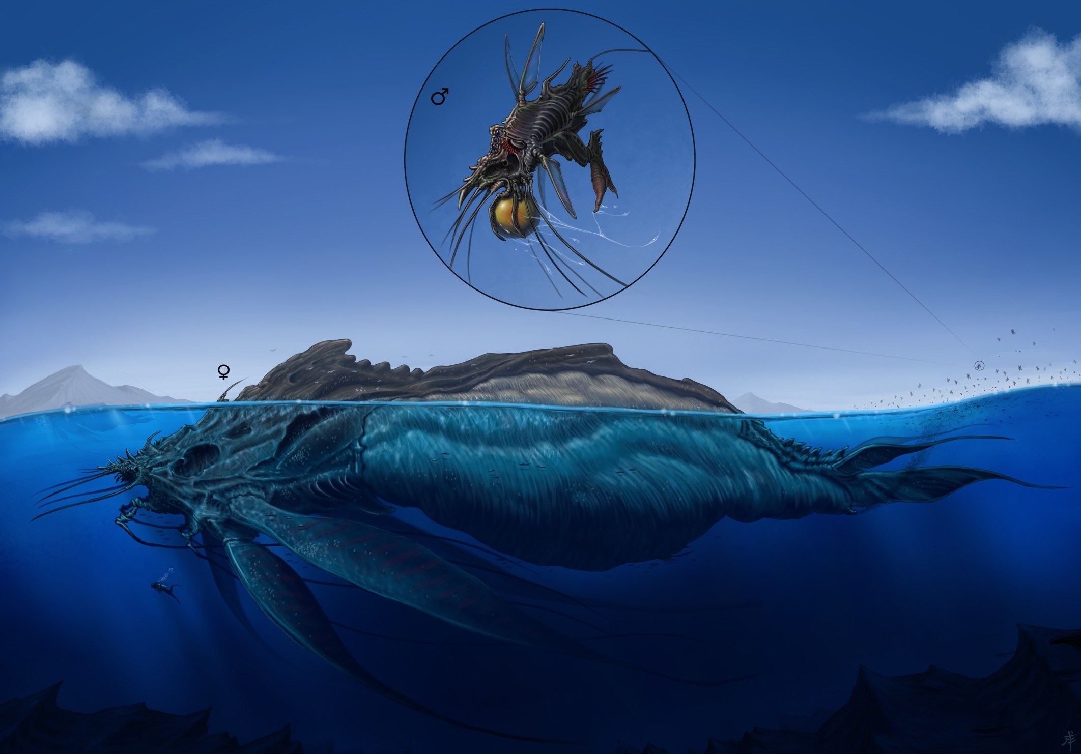Giant sea monster and small creature HD Wallpaper