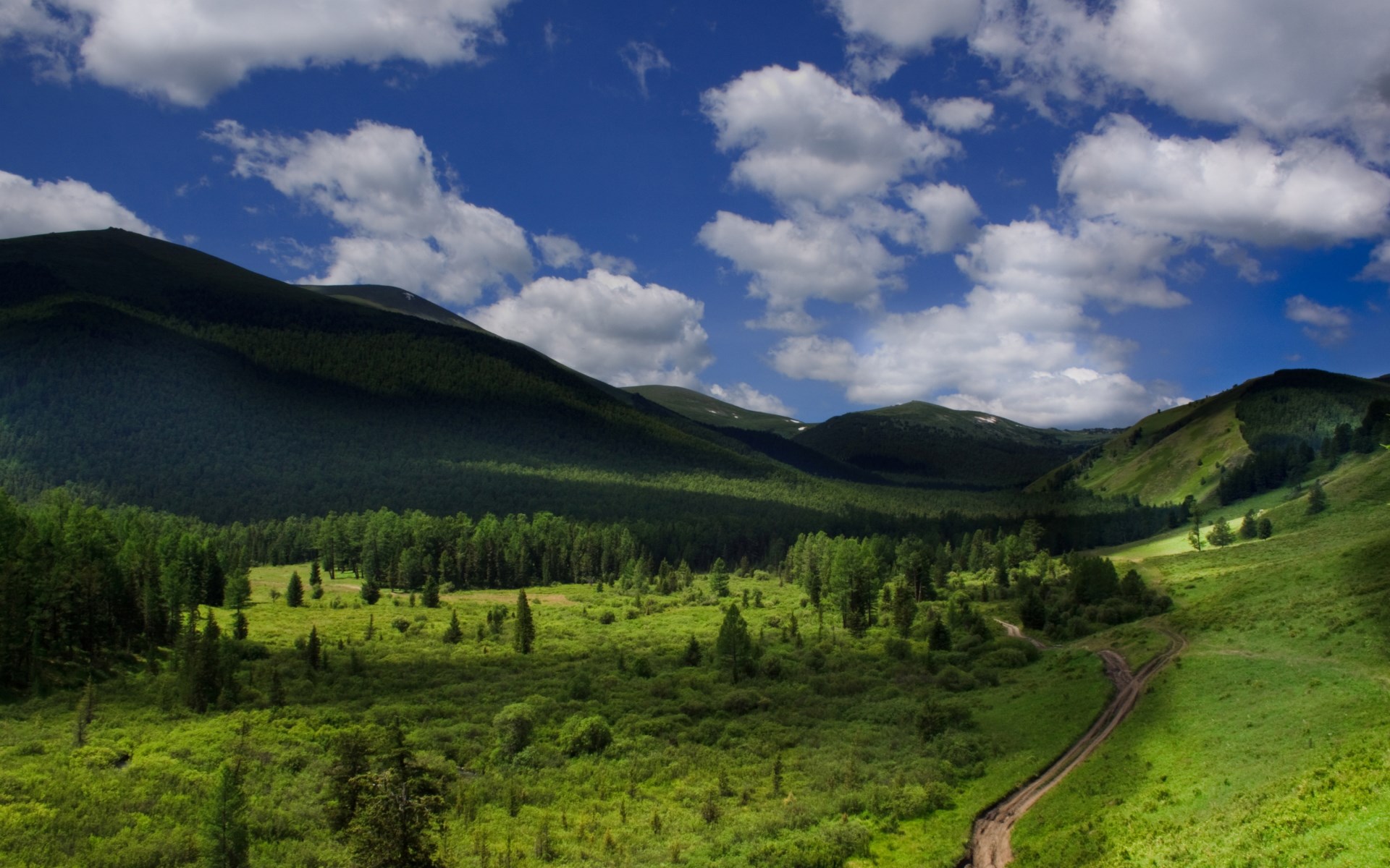 Green valley with mountains and a dirt road HD Wallpaper