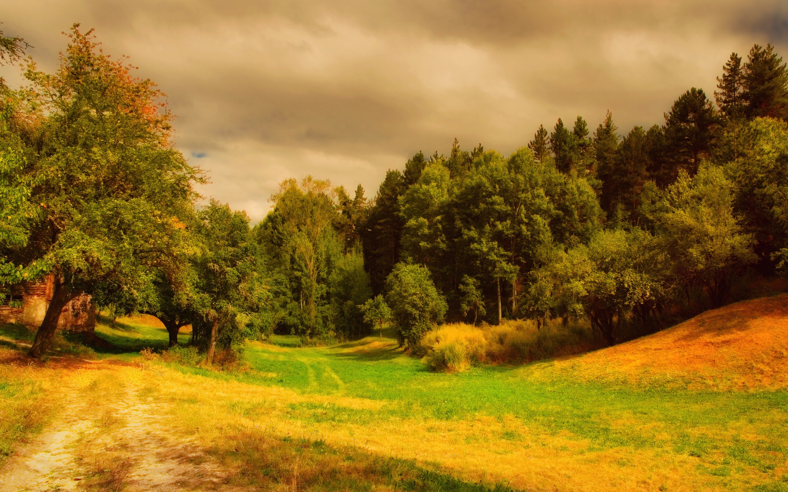 Autumn landscape with trees and a path HD Wallpaper