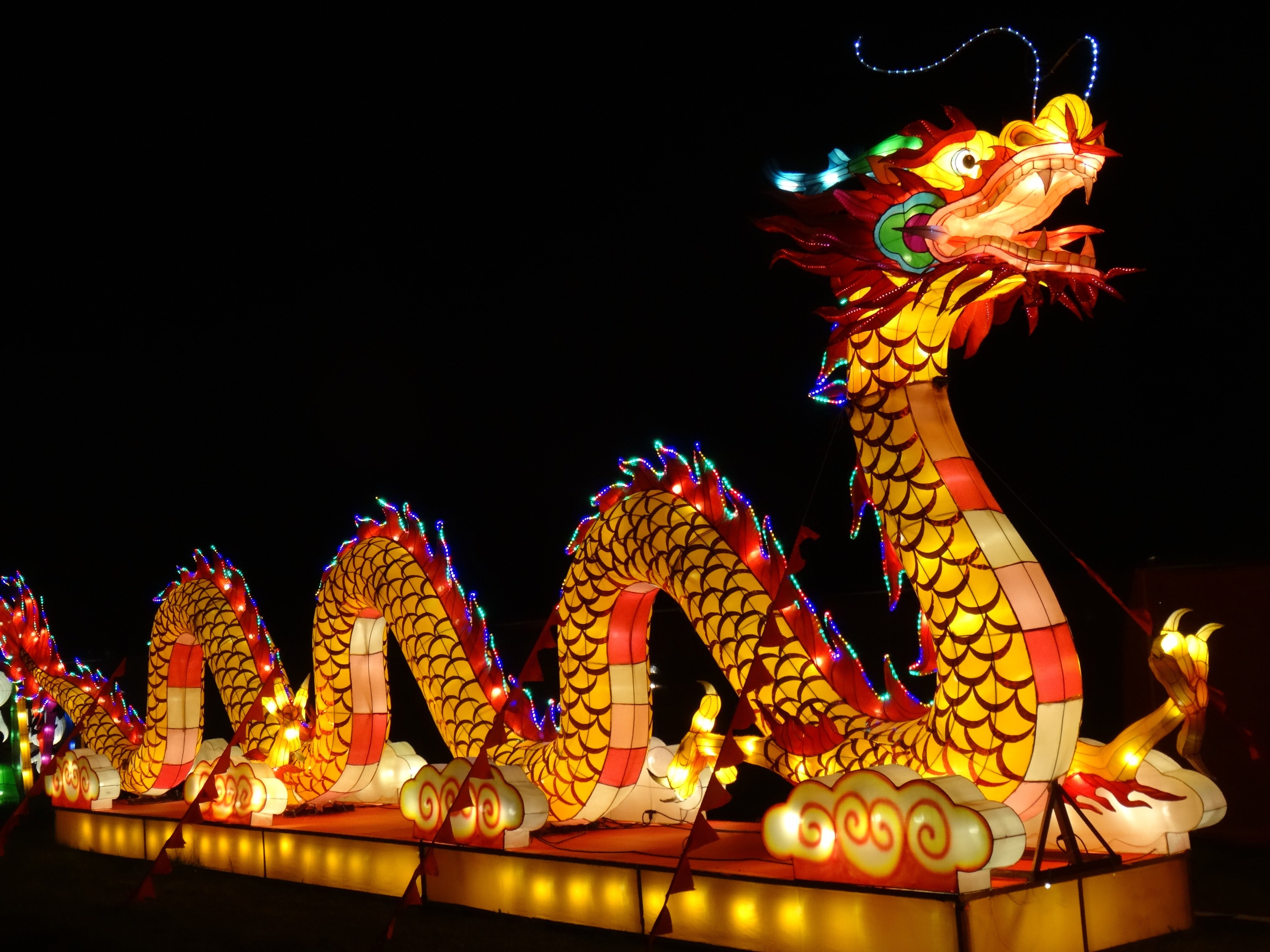 Illuminated Chinese Dragon Lantern at Night HD Wallpaper