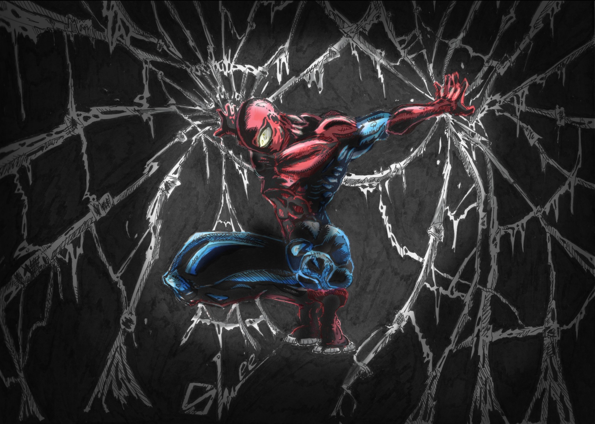 Spider-Man on a web HD Wallpaper