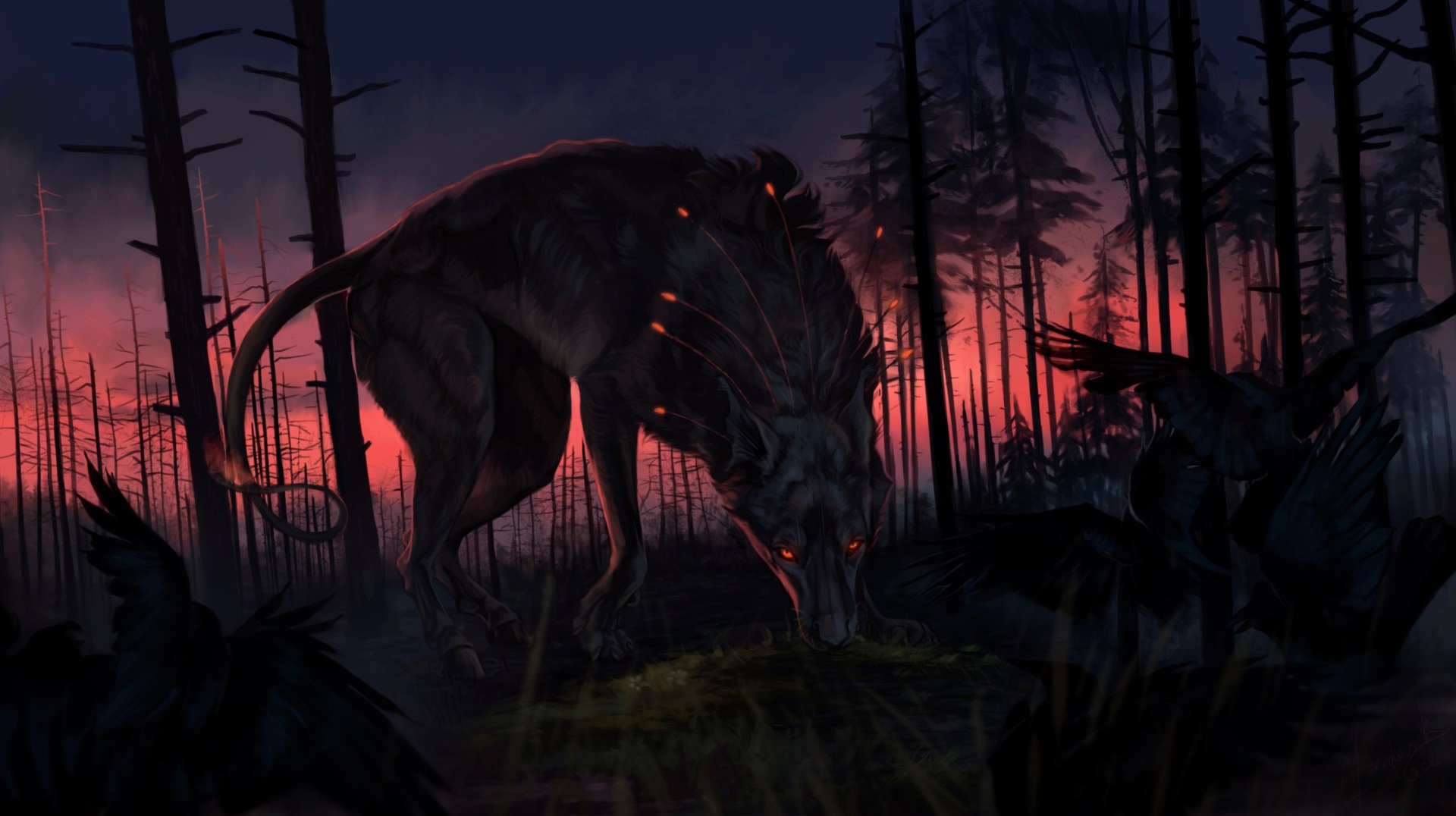 Dark wolf with glowing eyes in a forest at sunset HD Wallpaper