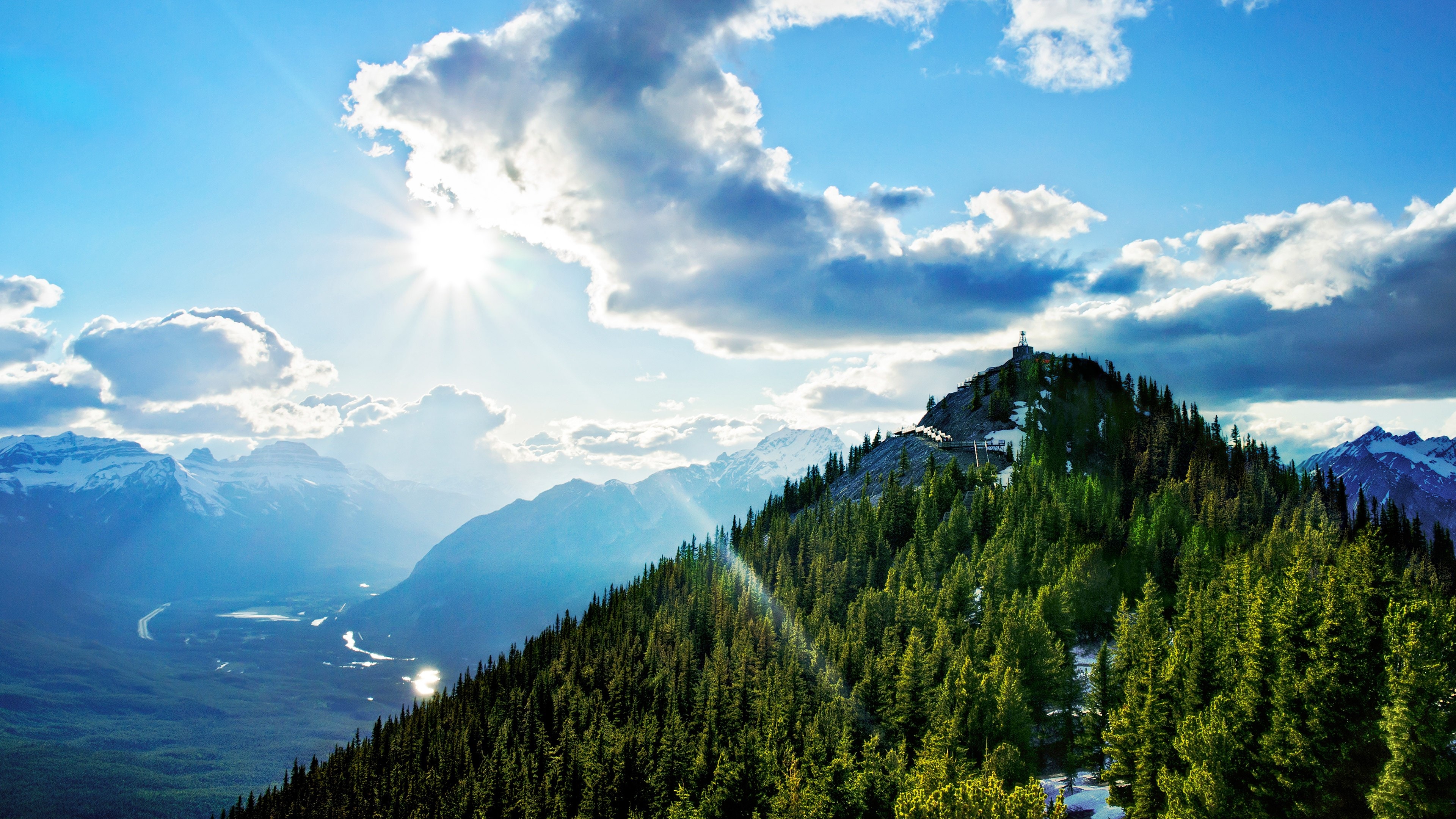 Sunlit Mountain Landscape with Pine Forest 4K HD Wallpaper