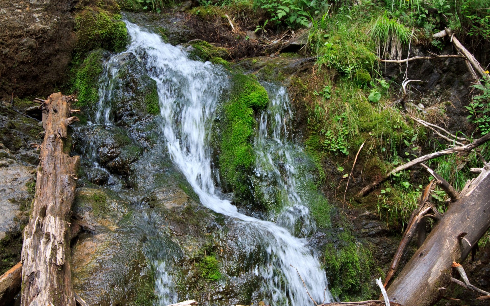 Waterfall flowing over mossy rocks with fallen logs HD Wallpaper