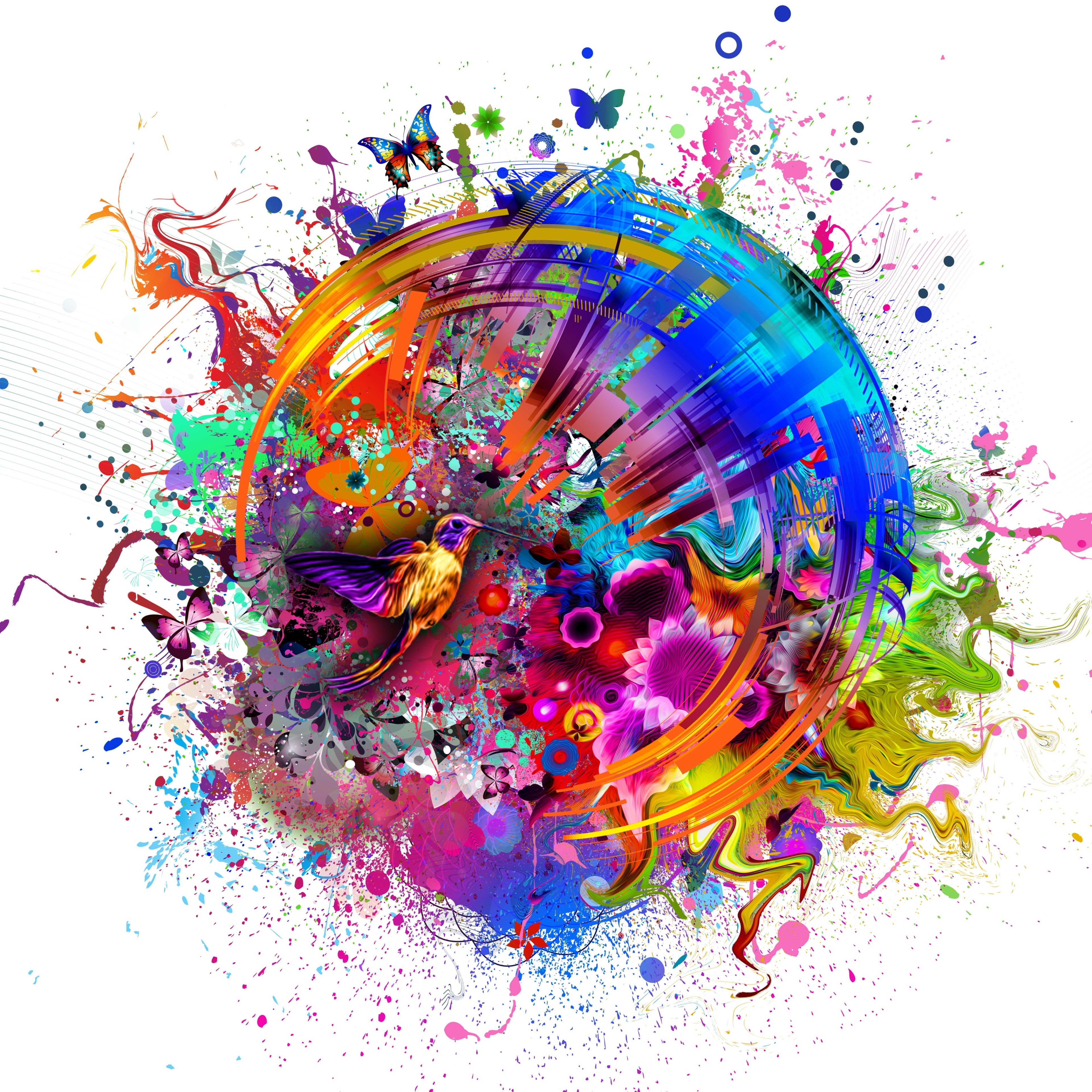Abstract 4K colorful splatter art with hummingbird and butterflies HD Wallpaper