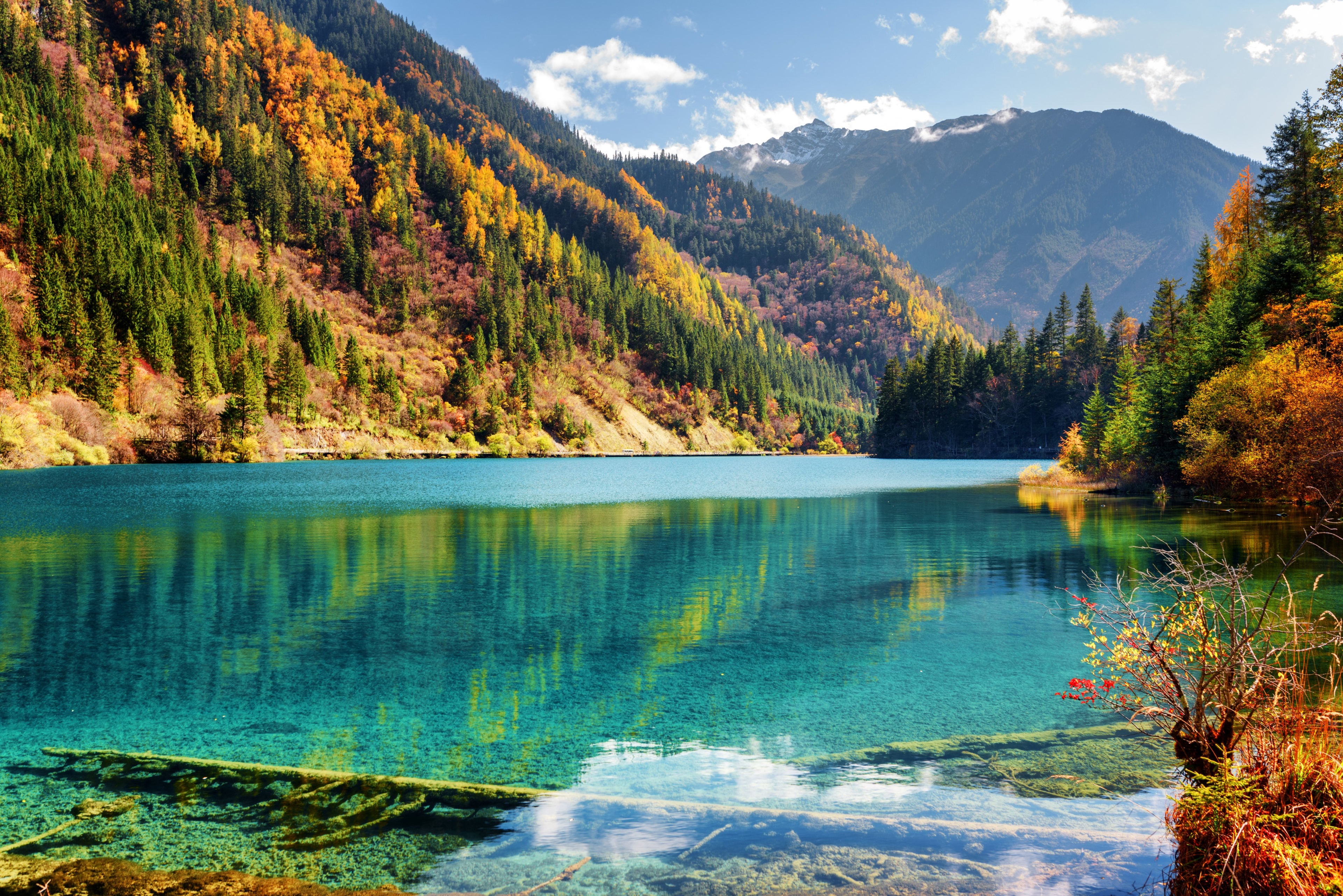 Turquoise lake surrounded by autumn forest and mountains HD Wallpaper