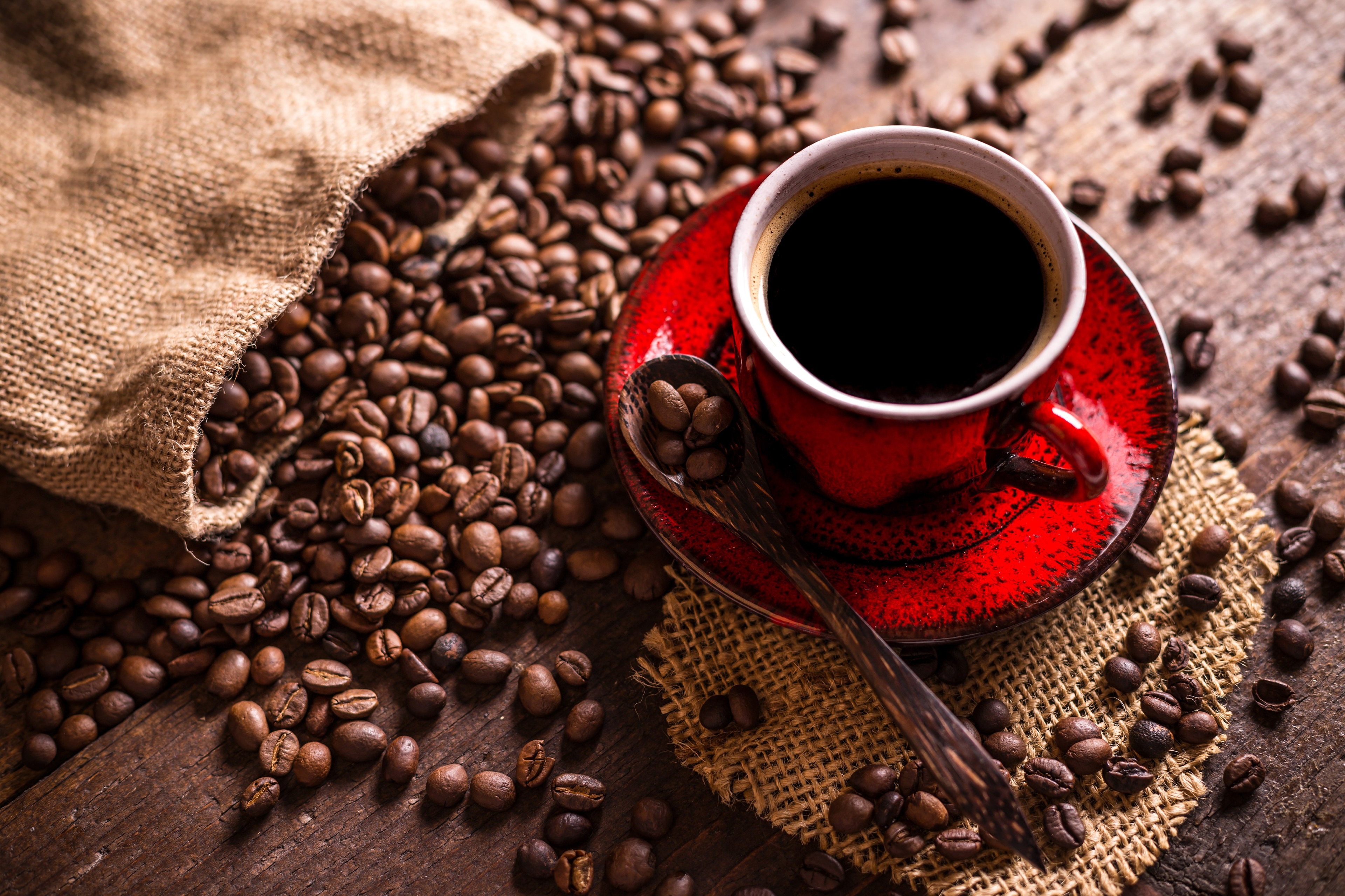Coffee beans and a cup of coffee HD Wallpaper