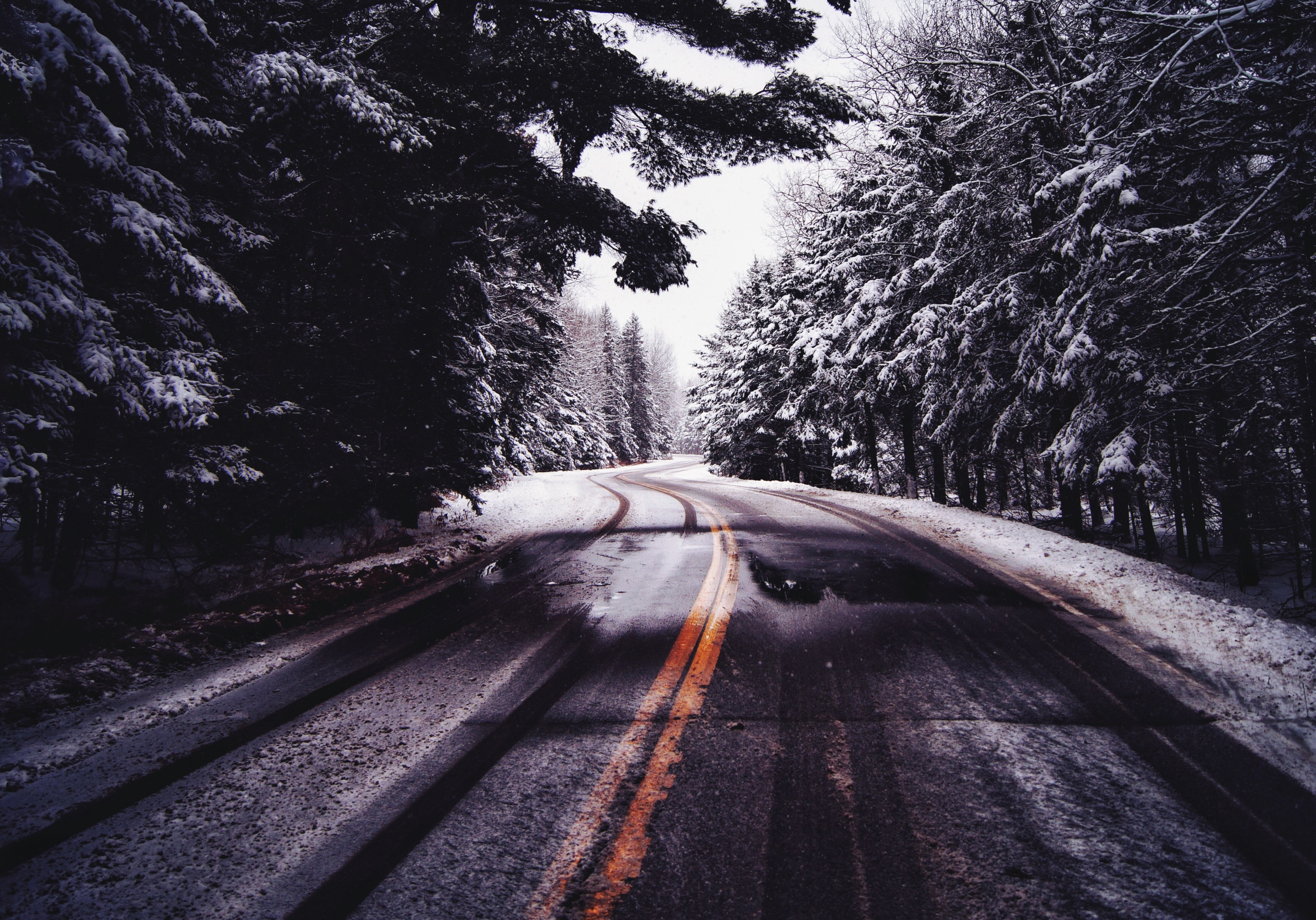 Snowy road through a forest HD Wallpaper
