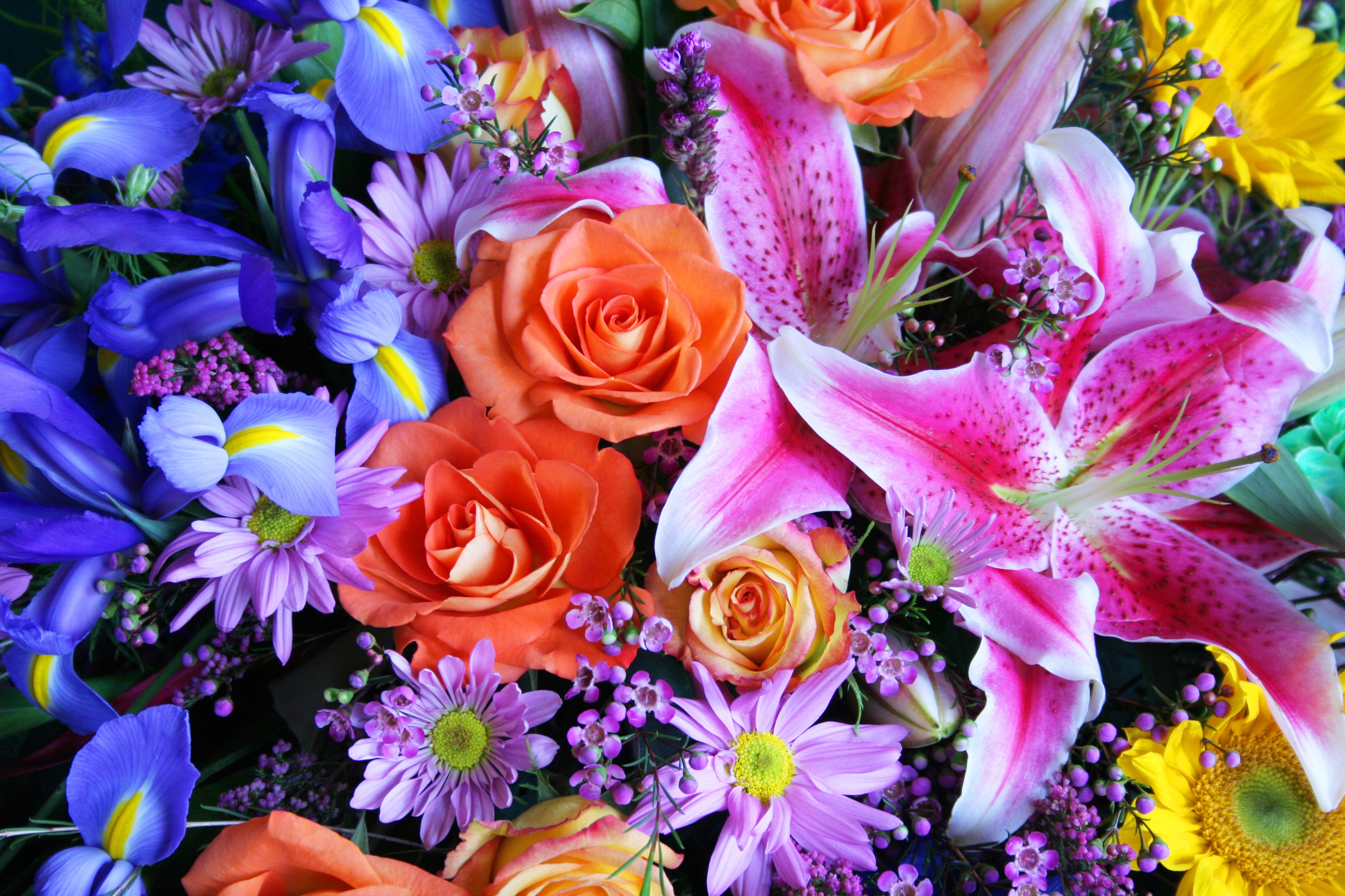 Colorful bouquet of lilies, roses, and irises HD Wallpaper