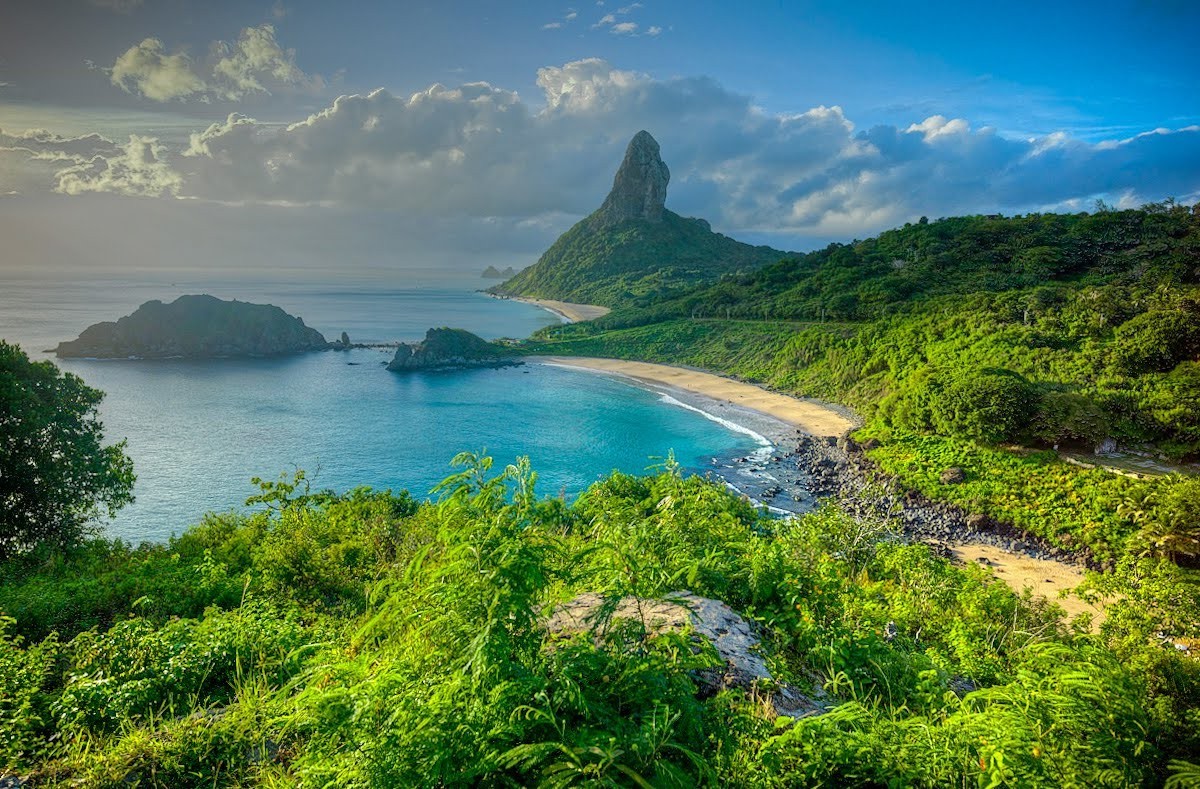 Fernando de Noronha island beach with tropical vegetation HD Wallpaper