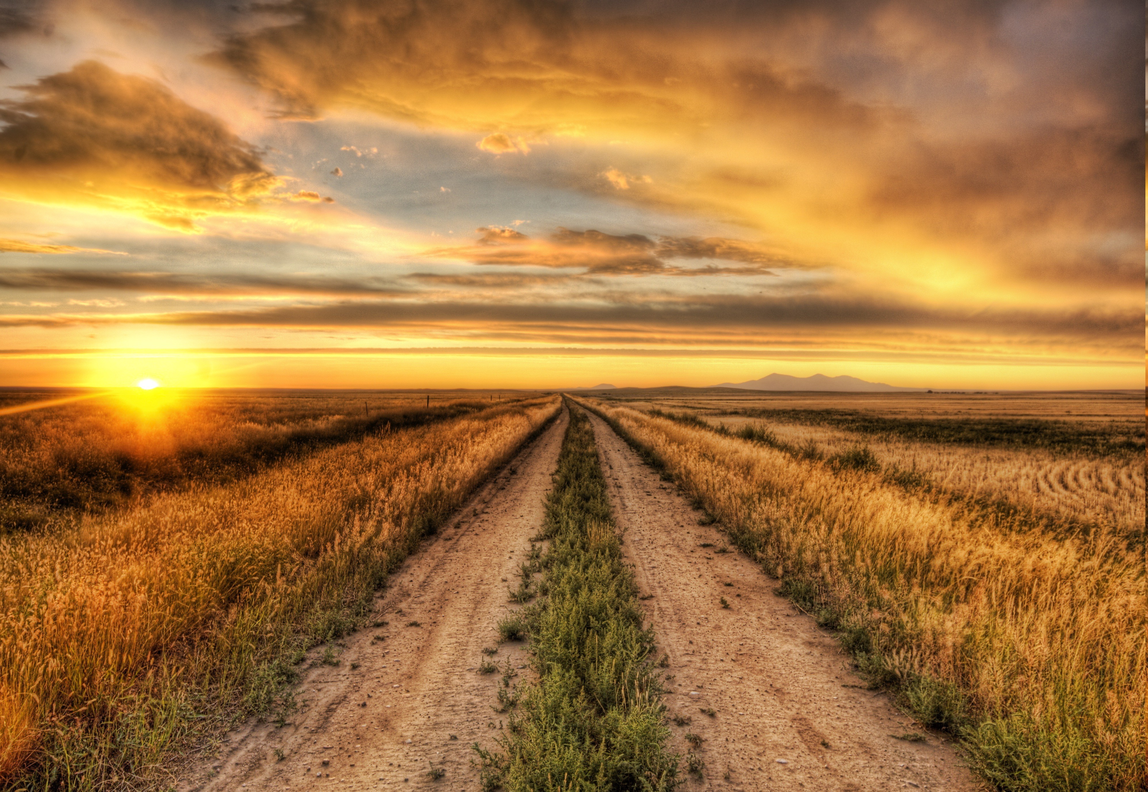Sunset over a dirt road in a field HD Wallpaper