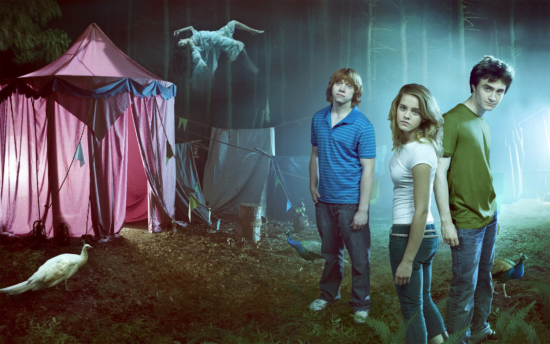 Harry Potter, Ron Weasley, and Hermione Granger in a forest HD Wallpaper