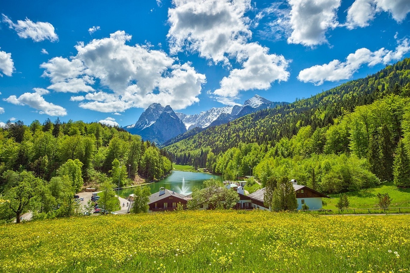 Lake and mountains in Germany with wildflowers HD Wallpaper