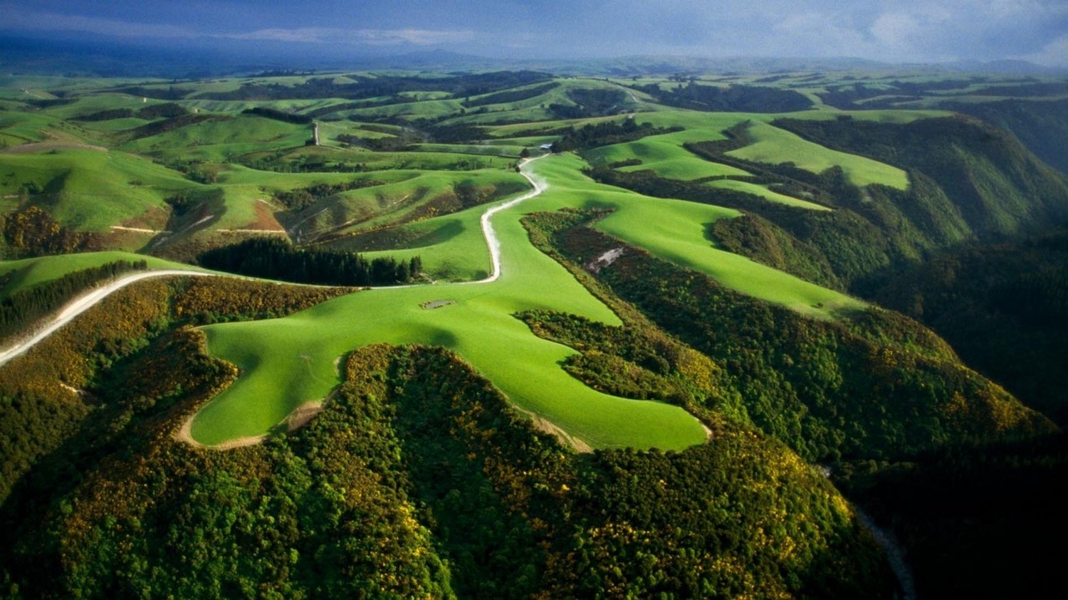 Rolling green hills and a winding road in New Zealand HD Wallpaper