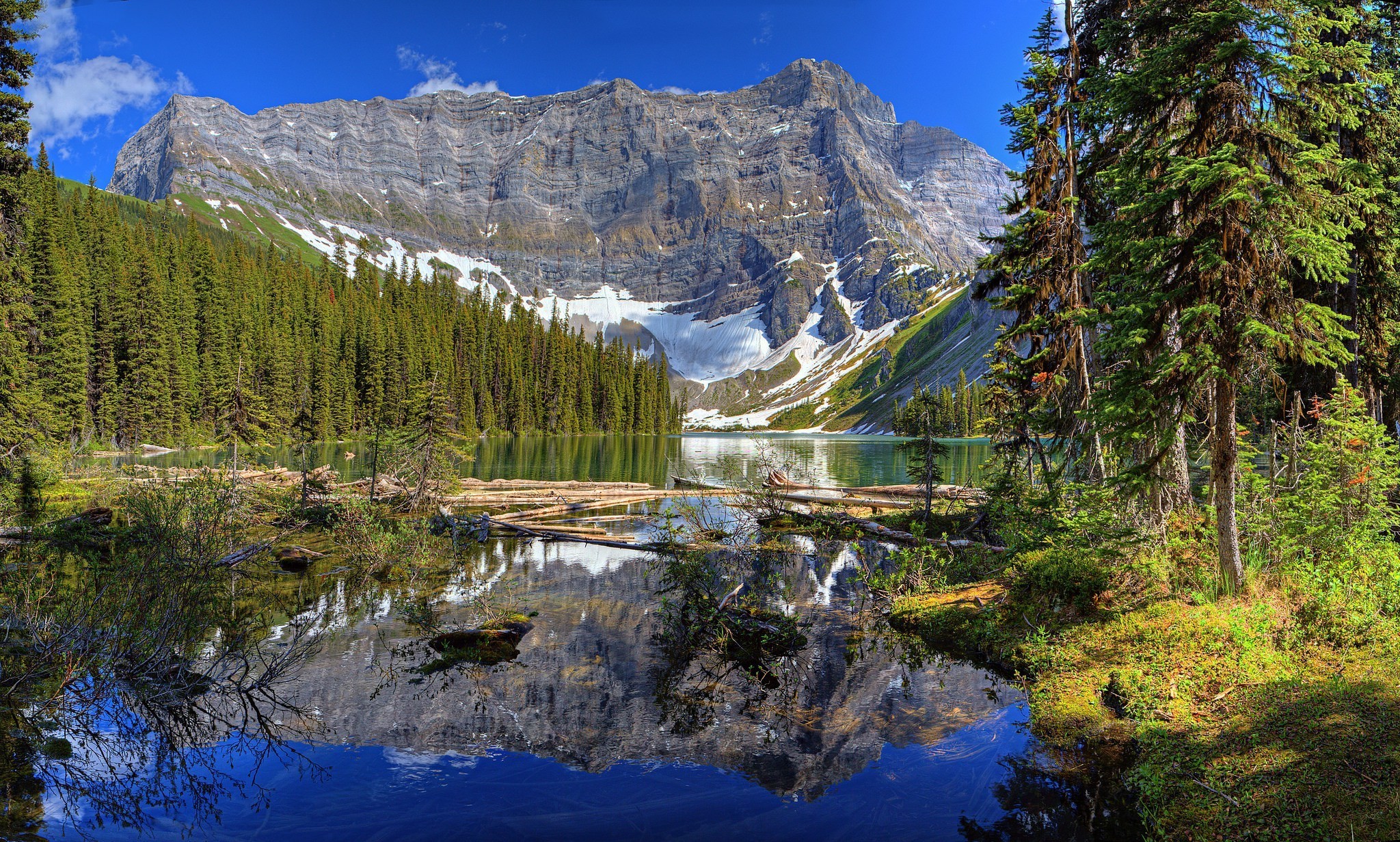 Mountain lake with pine forest and reflection HD Wallpaper