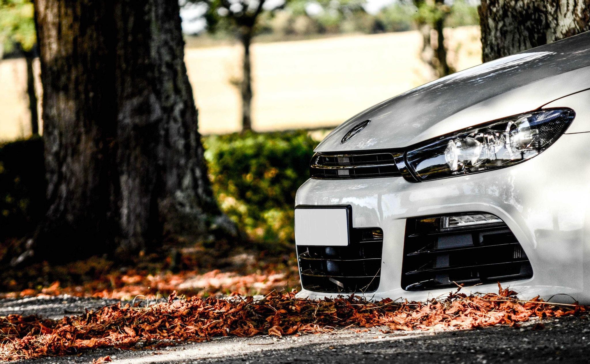 White Volkswagen Scirocco parked near trees with fallen leaves HD Wallpaper