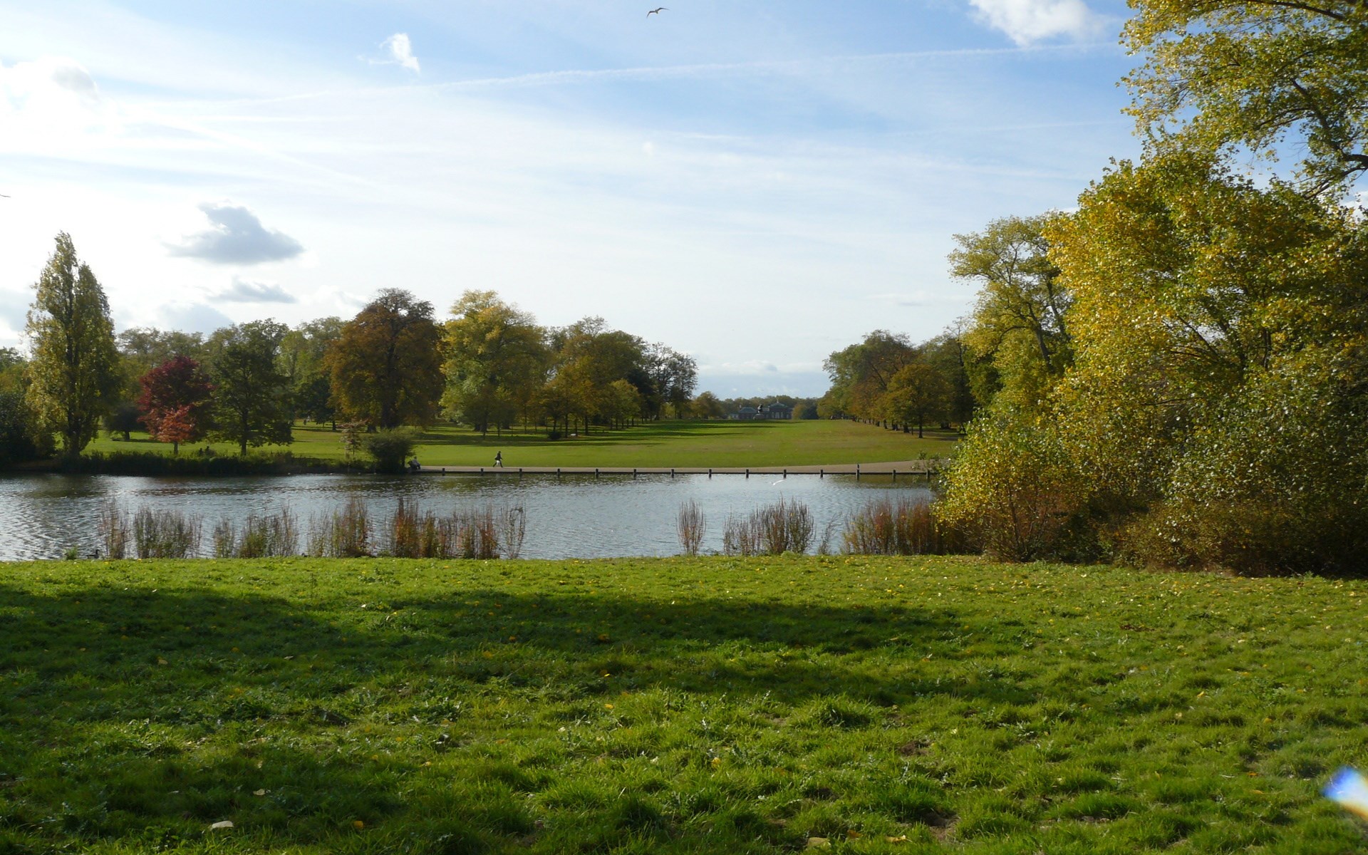 Park with a lake and trees in autumn HD Wallpaper