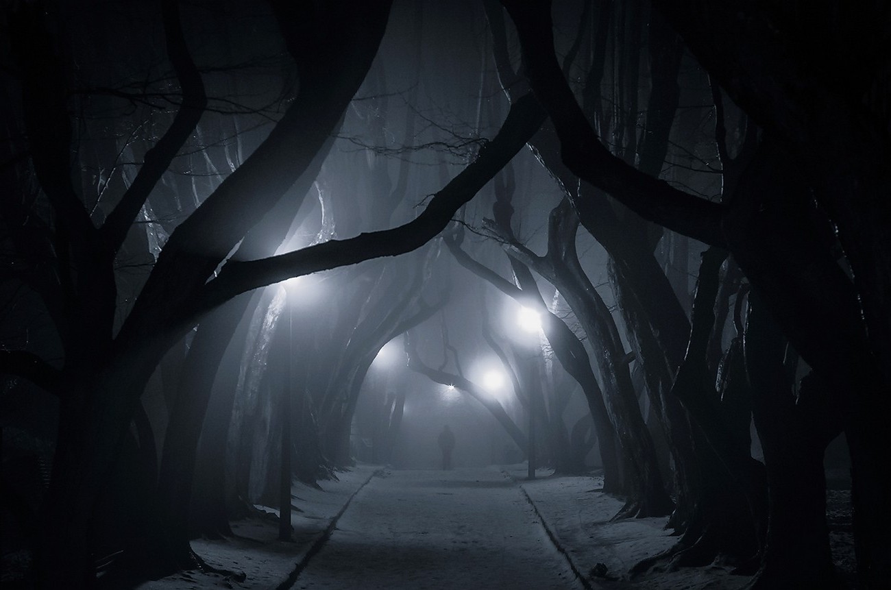 Dark misty forest path with streetlights and a lone figure HD Wallpaper