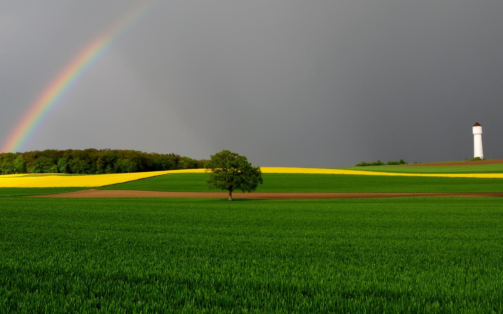 Rainbow over farmland with a lone tree and water tower HD Wallpaper
