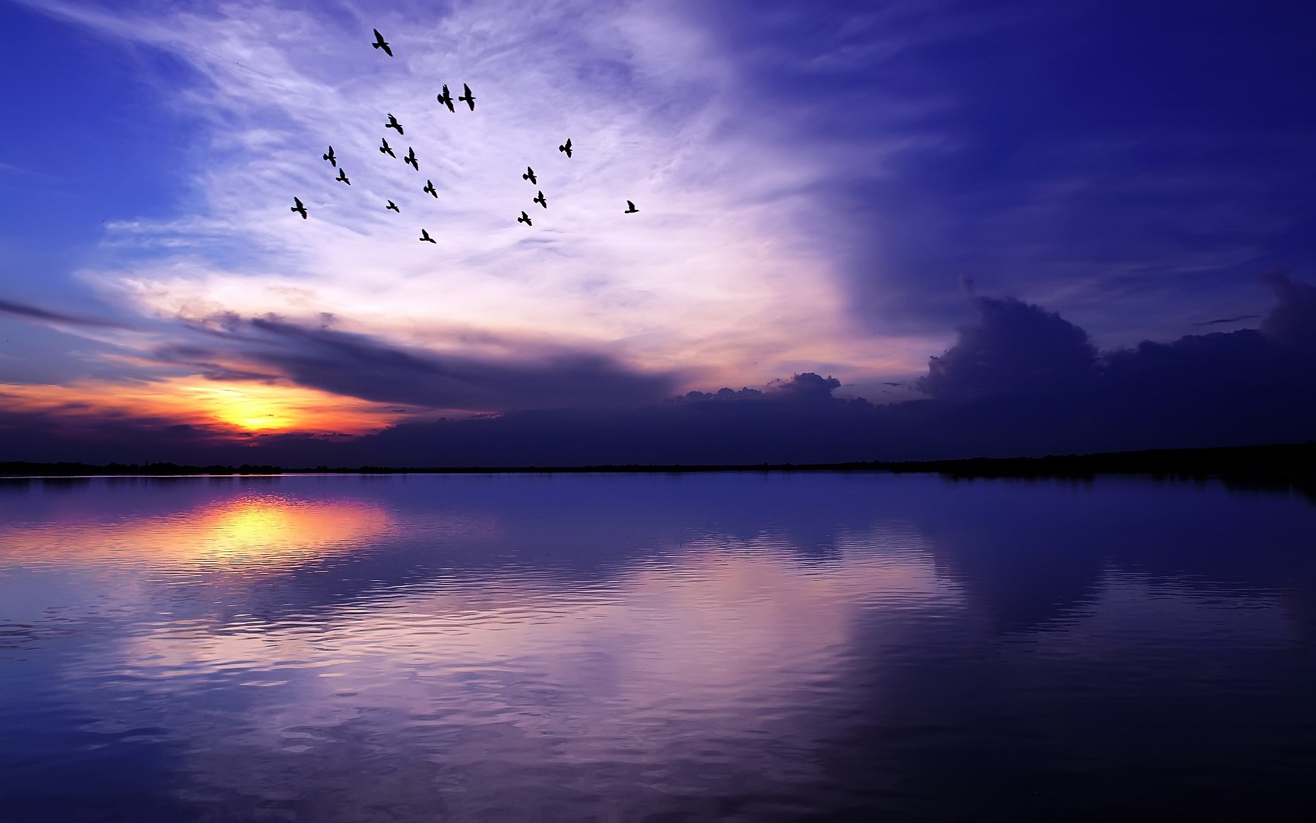Birds flying over a lake at sunset HD Wallpaper