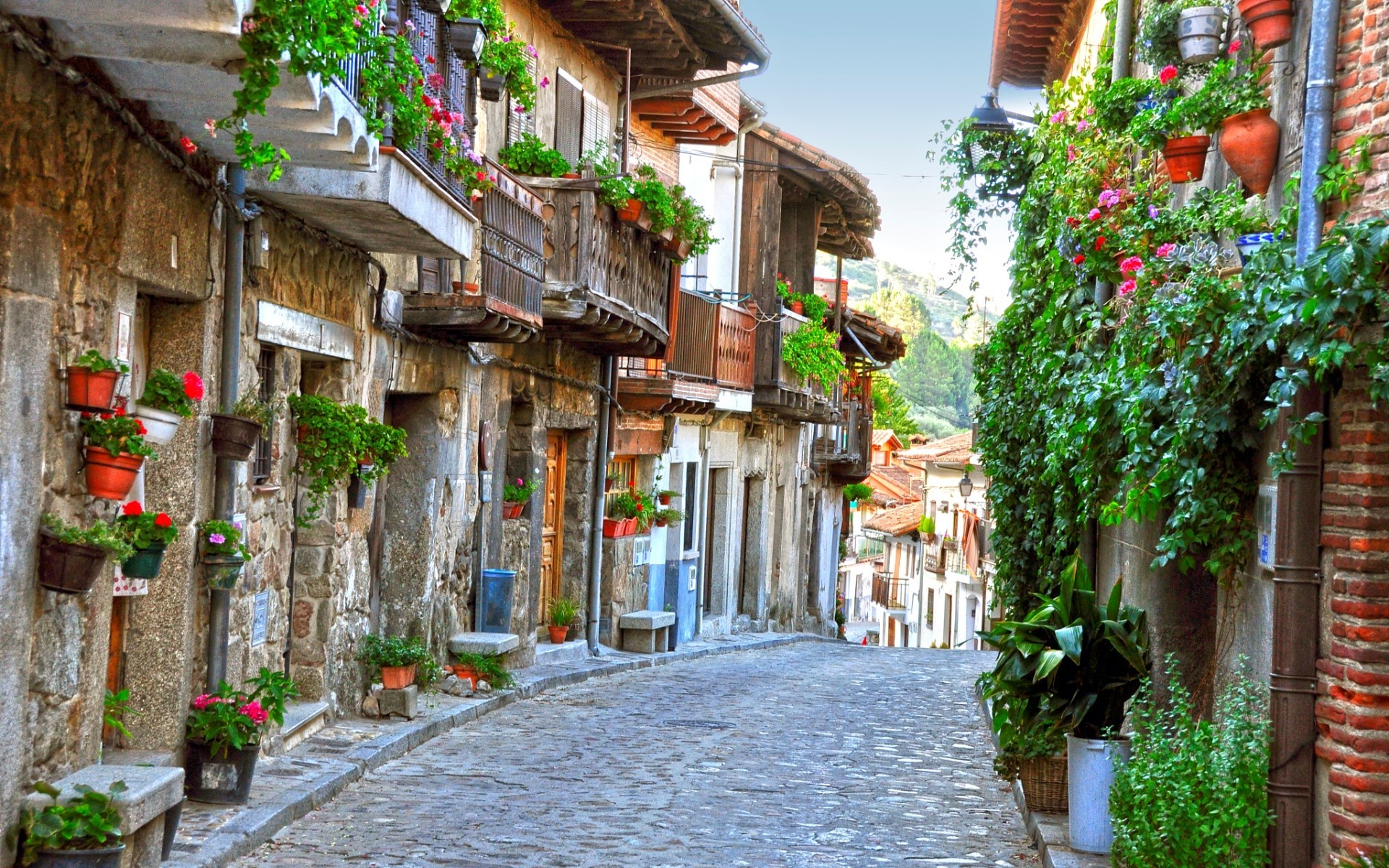 Cobblestone street lined with old stone buildings and flowers HD Wallpaper