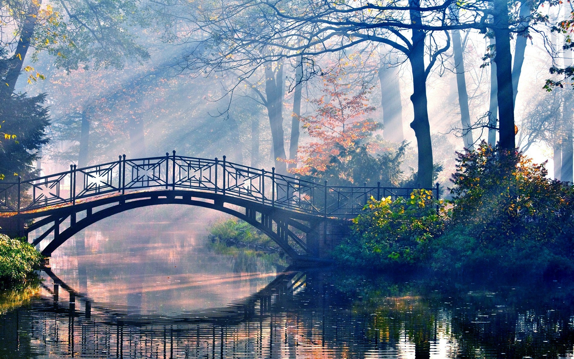 Bridge over a misty river in a forest HD Wallpaper