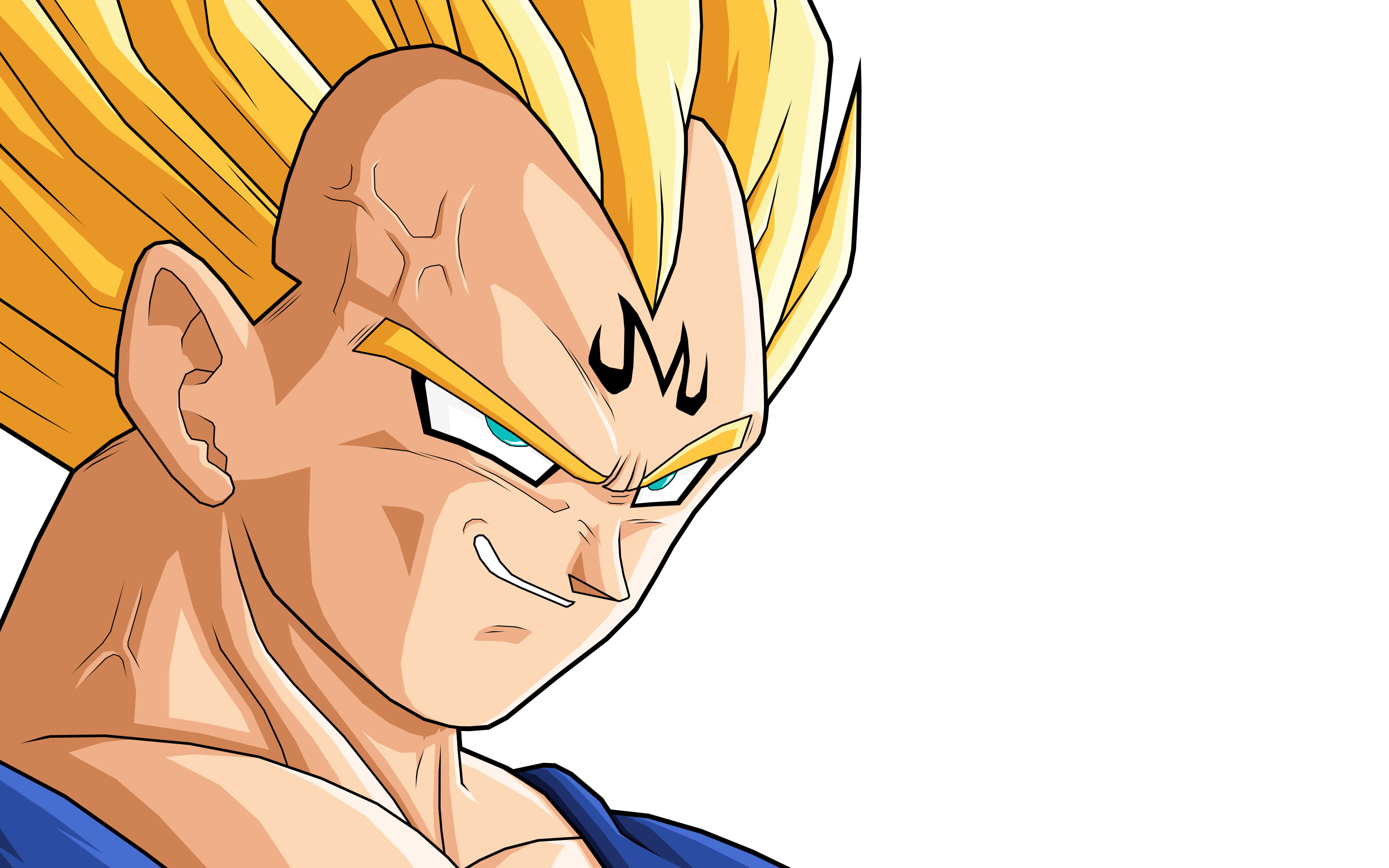 Vegeta from Dragon Ball Z Majin HD Wallpaper