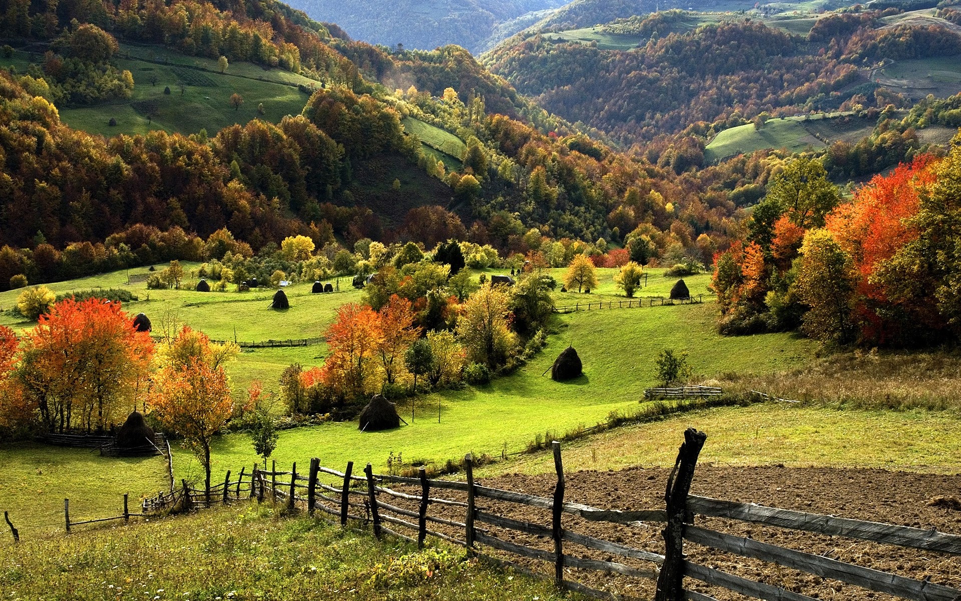 Autumn landscape with rolling hills and haystacks HD Wallpaper