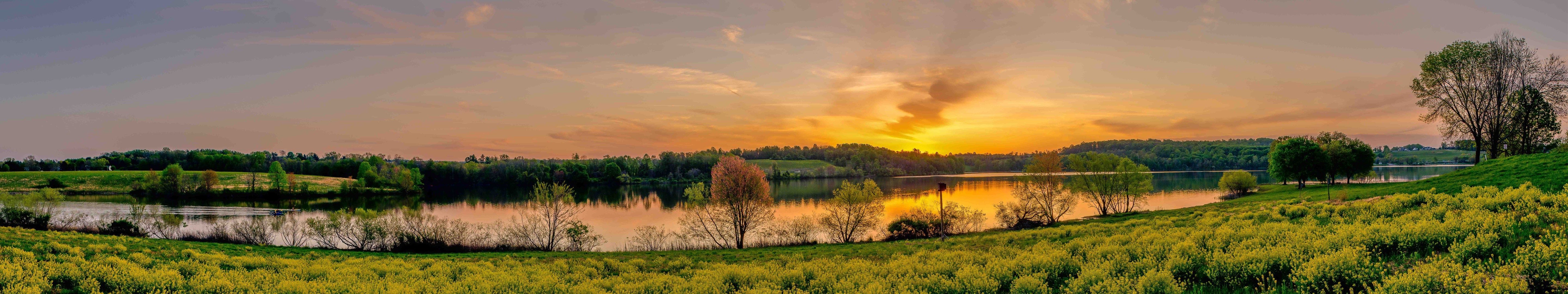 Sunset over a lake with yellow flowers and trees HD Wallpaper