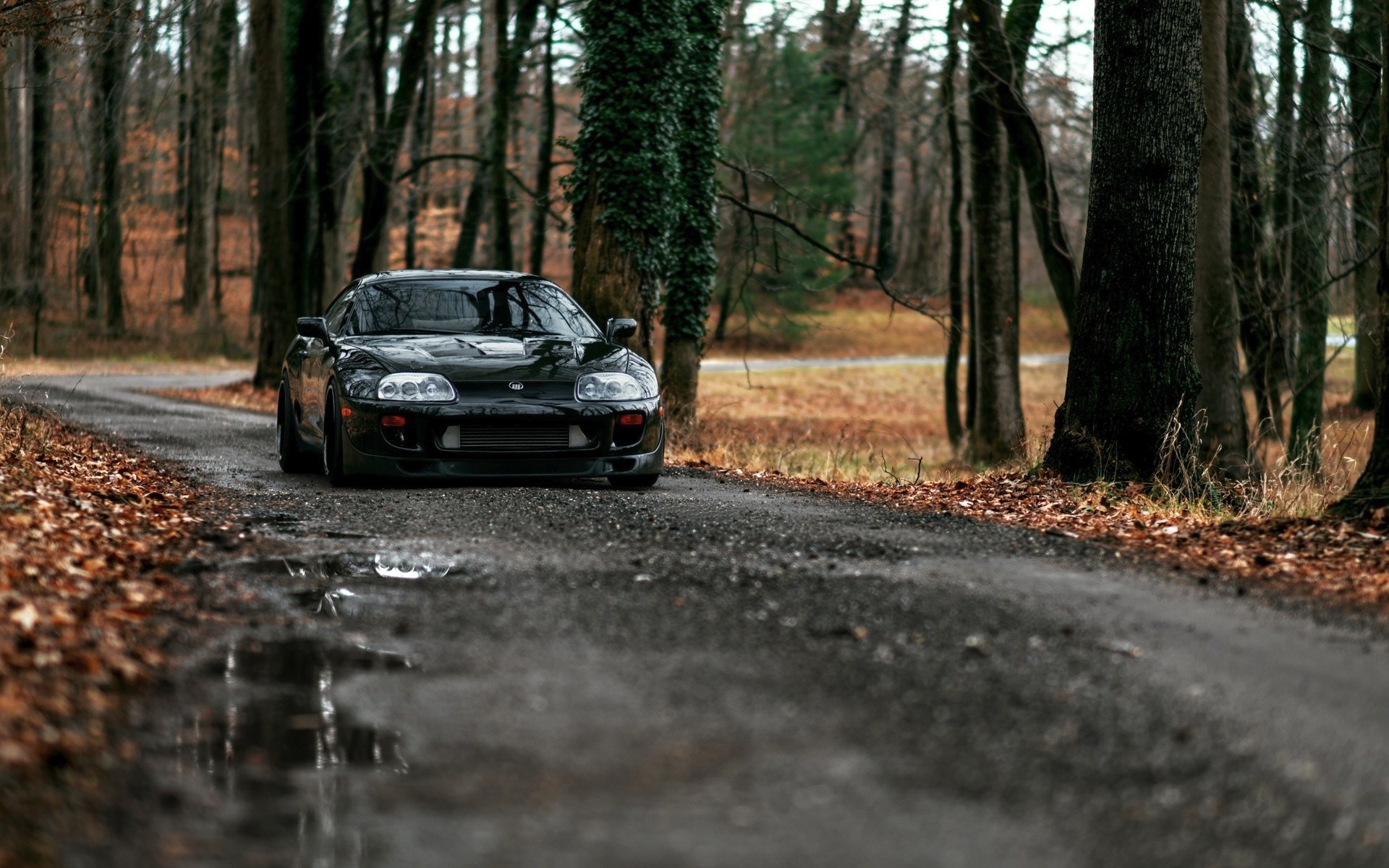 Black Toyota Supra on a wet forest road HD Wallpaper