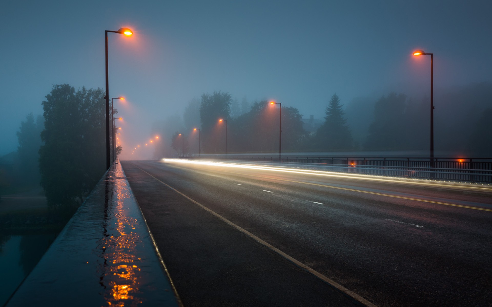 Streetlights on a foggy road at night HD Wallpaper