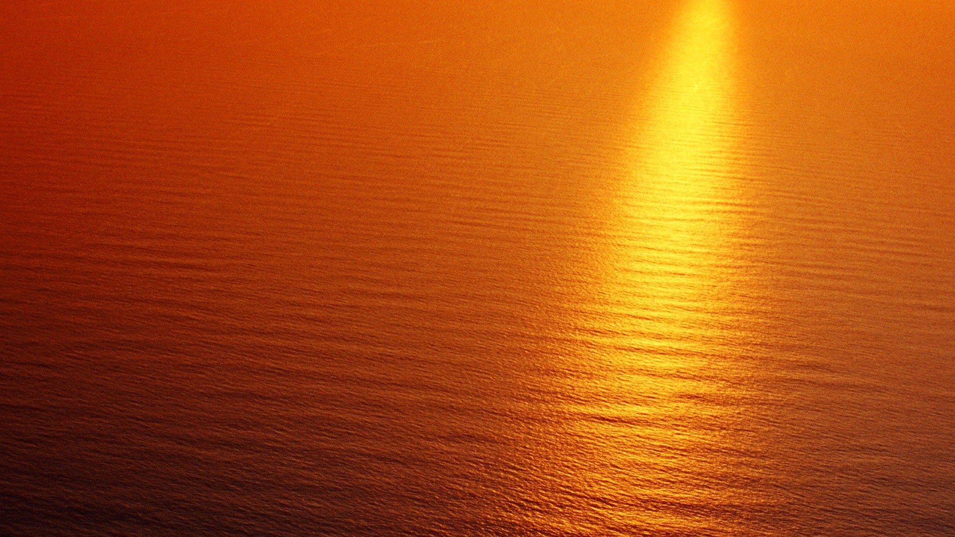 Sunset over the ocean with golden light reflection HD Wallpaper